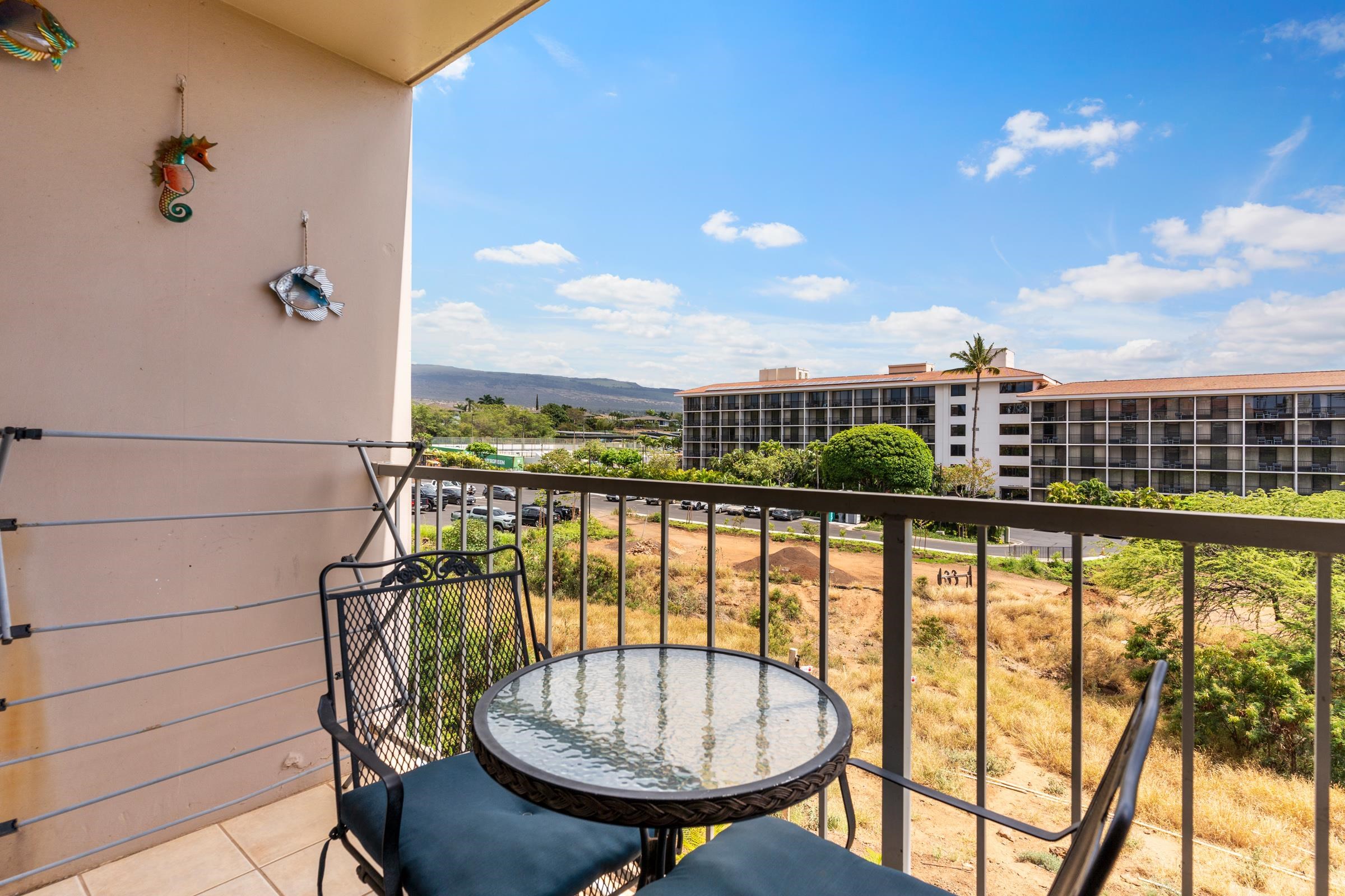 2219 S Kihei Rd Property Photo 21