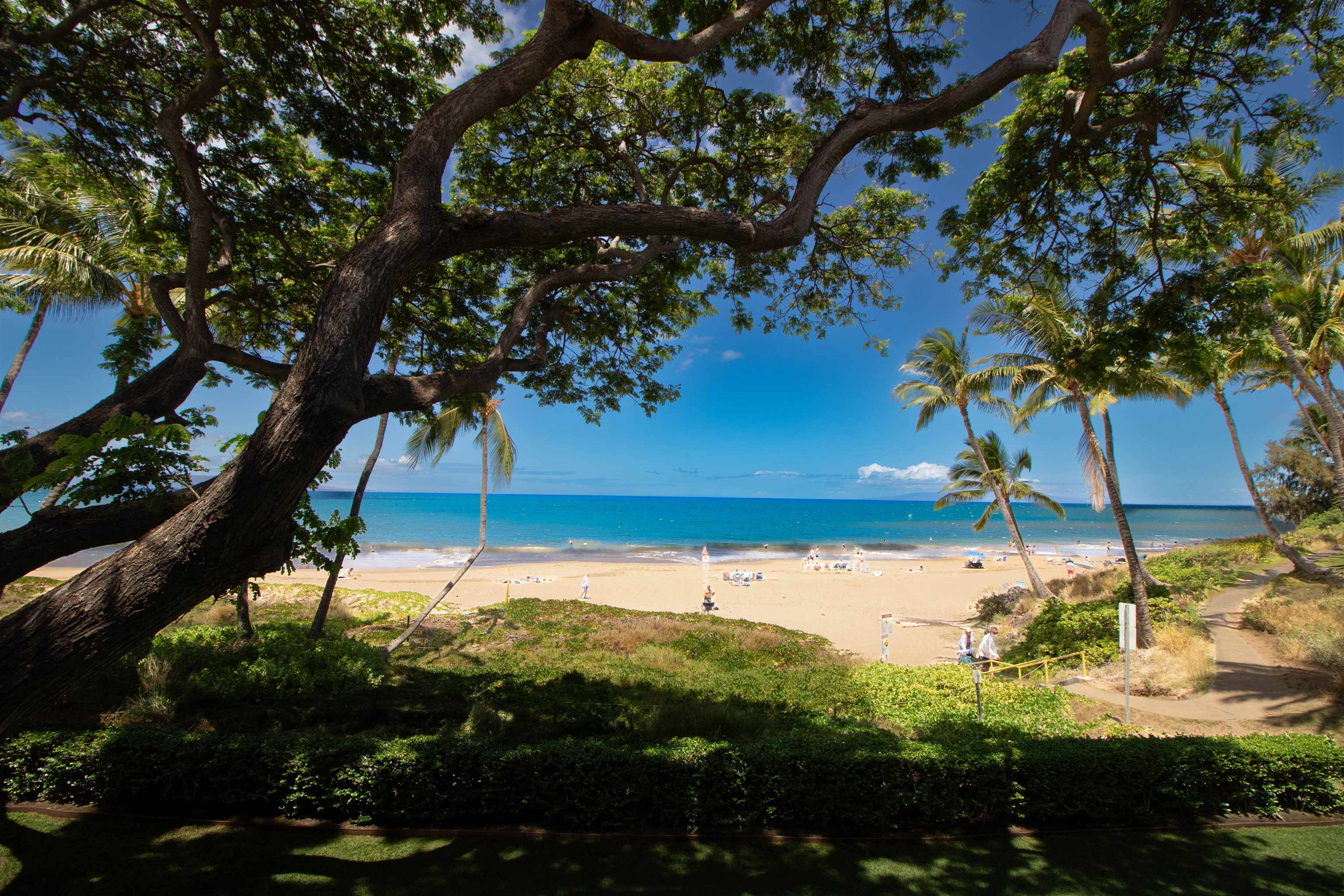 2230 S Kihei Rd Property Photo 8