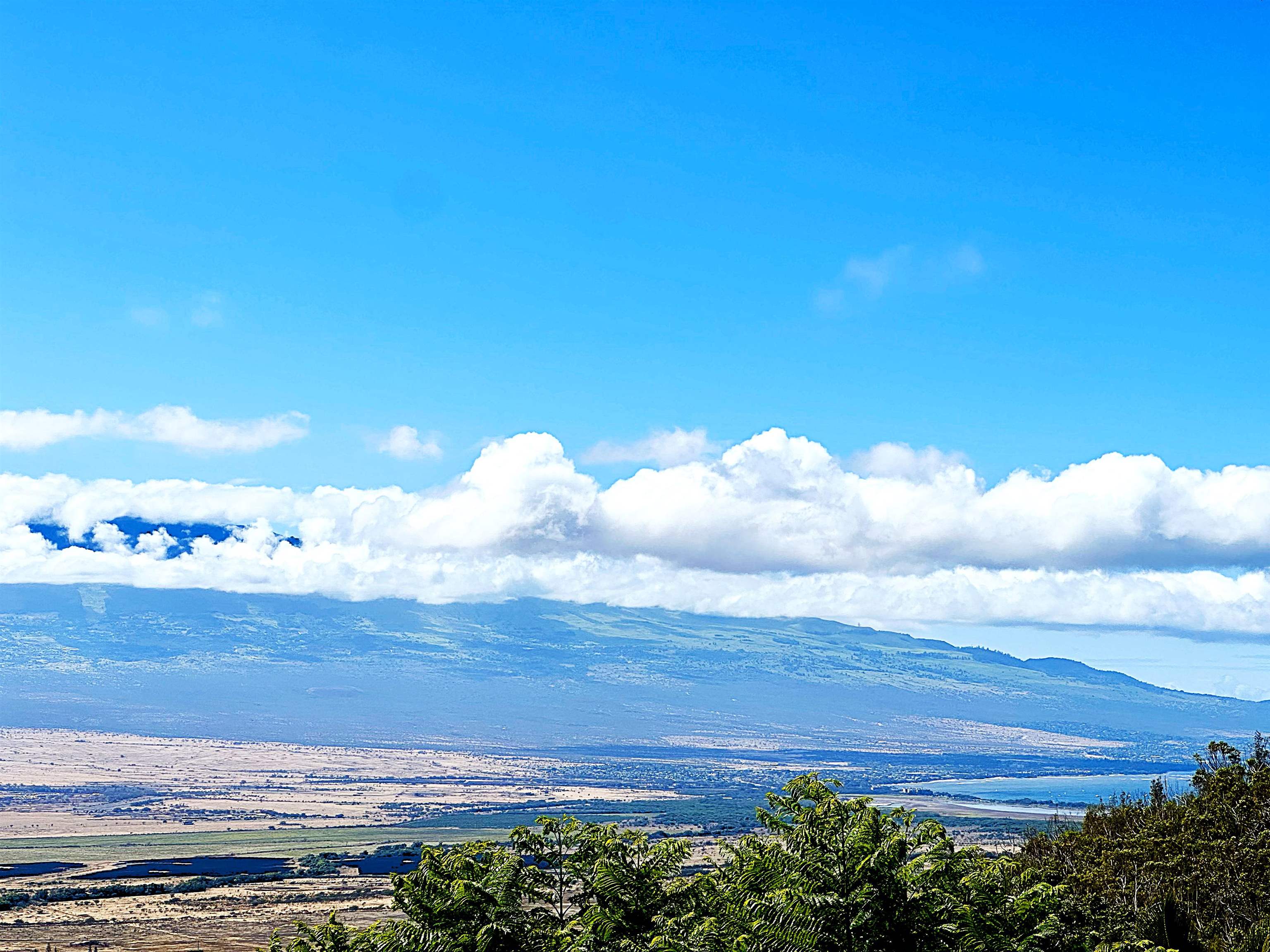 596 Kuikahi Dr Property Photo 22