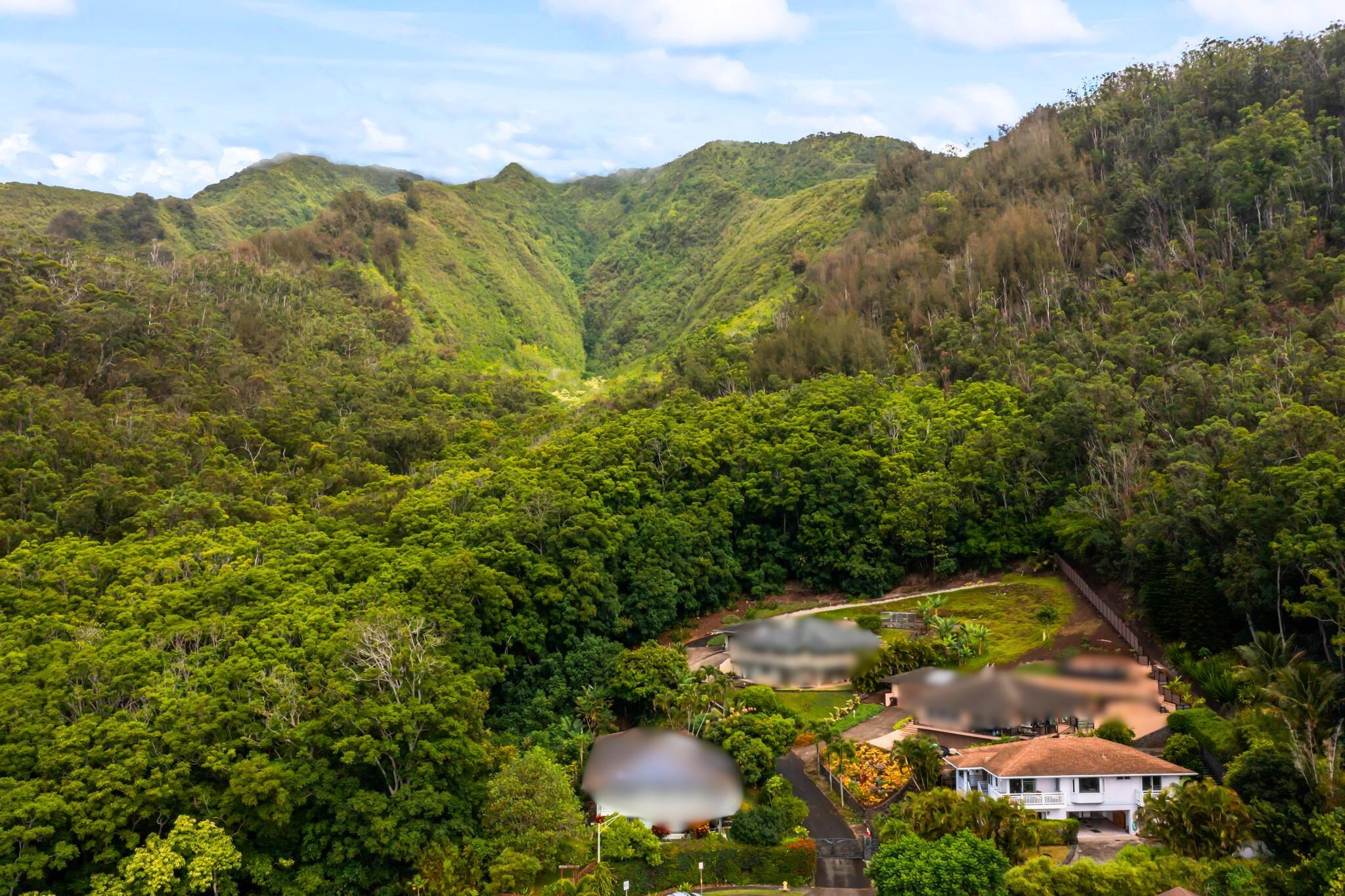 596 Kuikahi Dr Property Photo 37