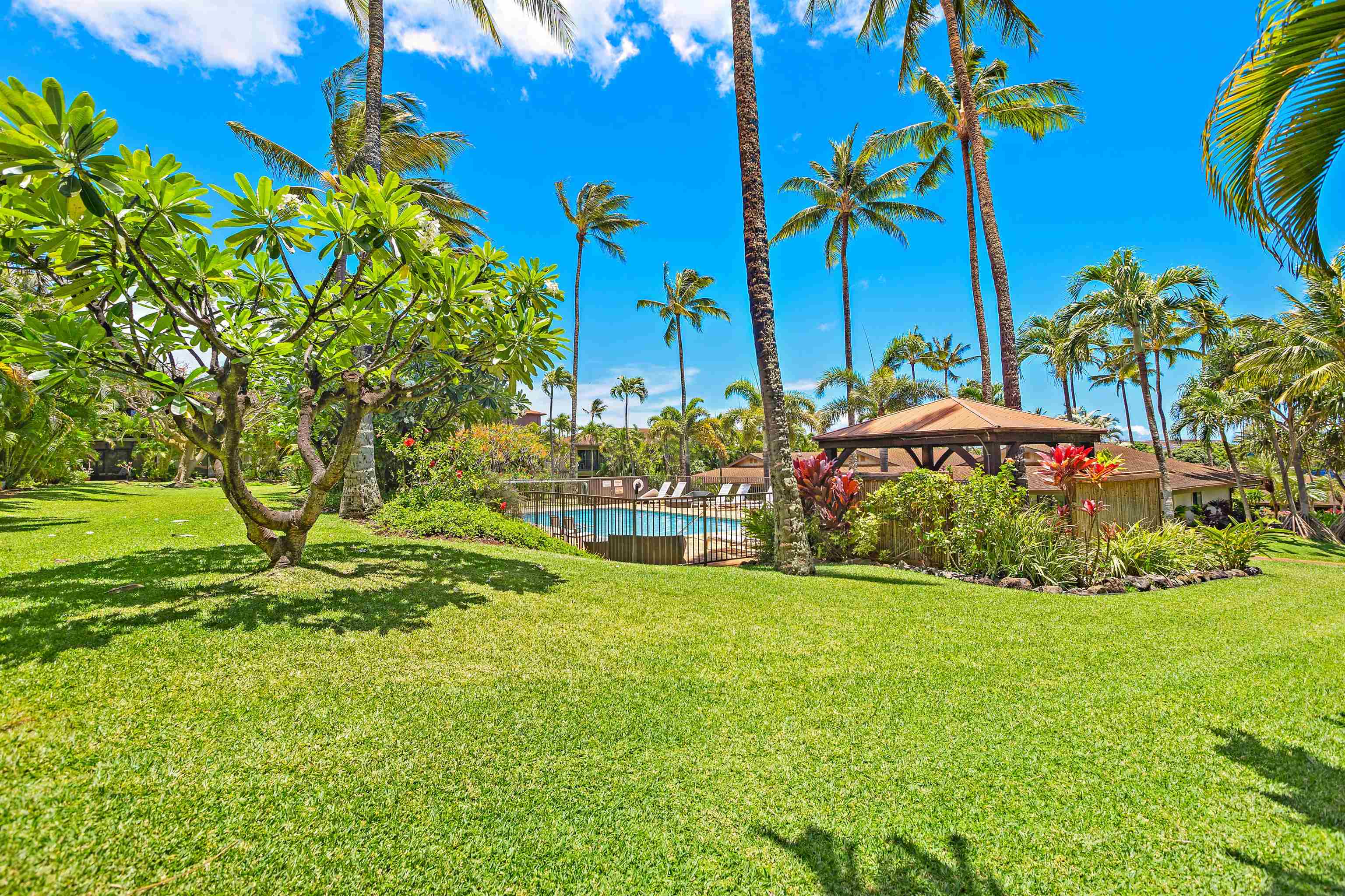 3788 Lower Honoapiilani Rd Property Photo 5