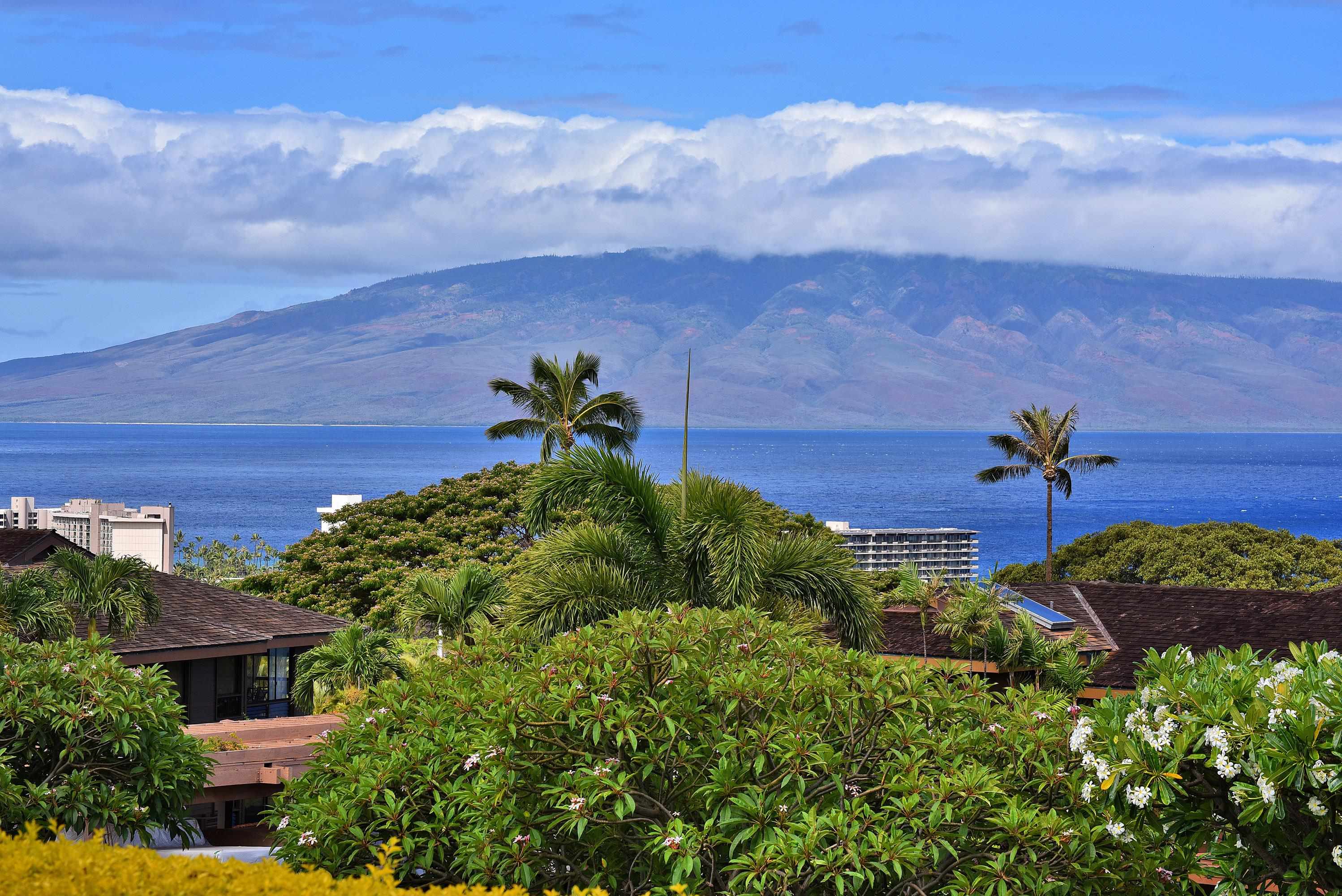 50 PUU ANOANO St Property Photo 1