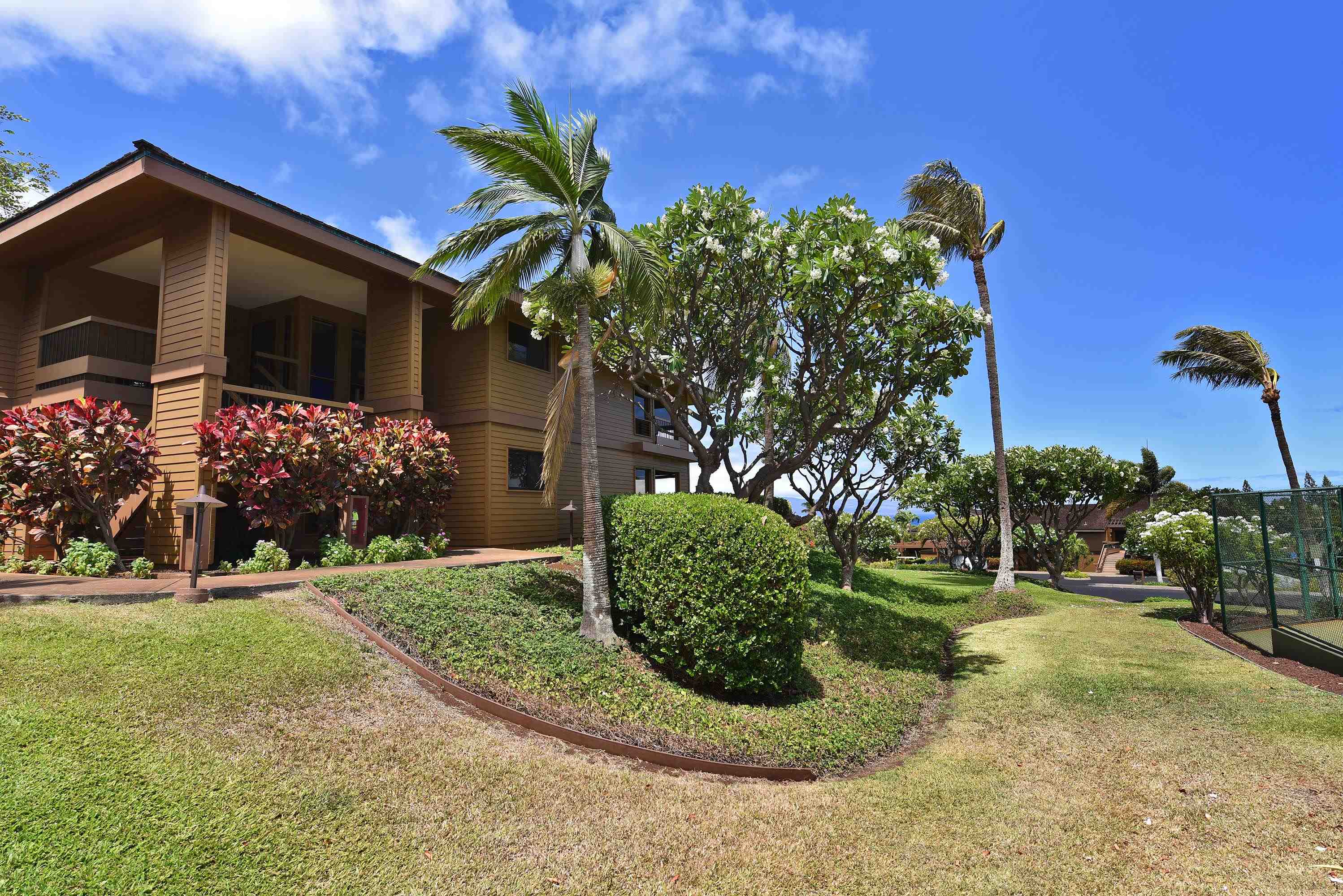 50 Puu Anoano St Property Photo 5