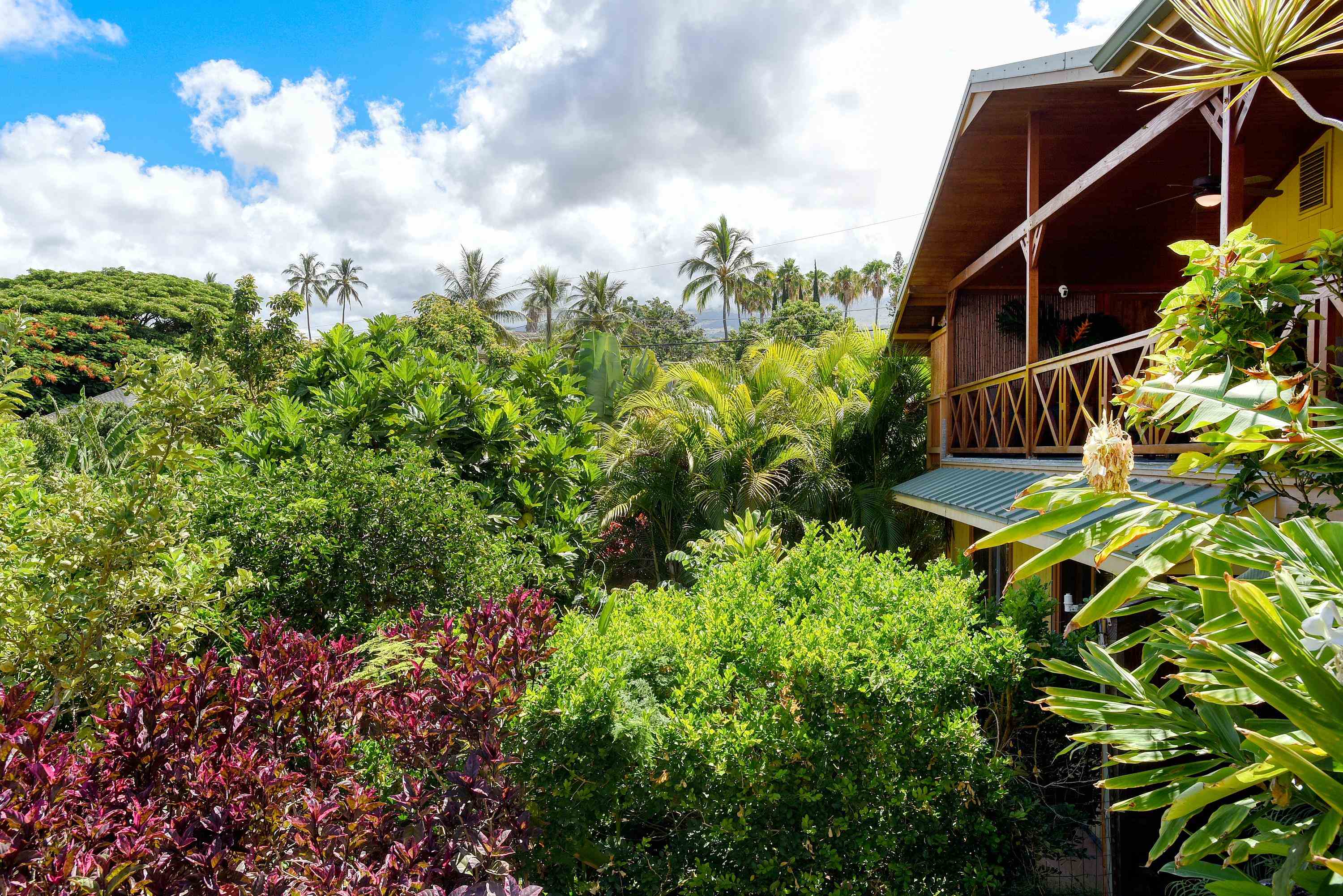 679 Kaapuni Pl Property Photo 10