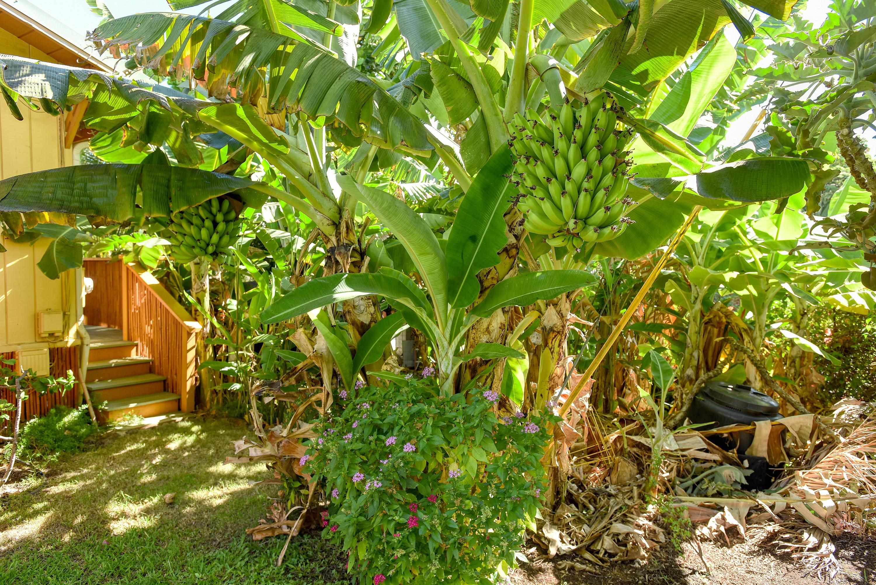 679 Kaapuni Pl Property Photo 34