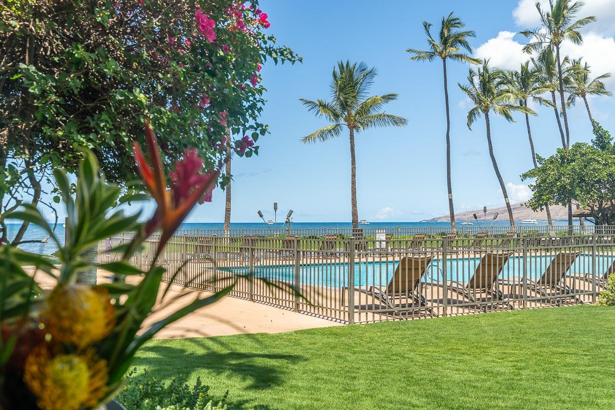 12 S Kihei Rd Property Photo 22