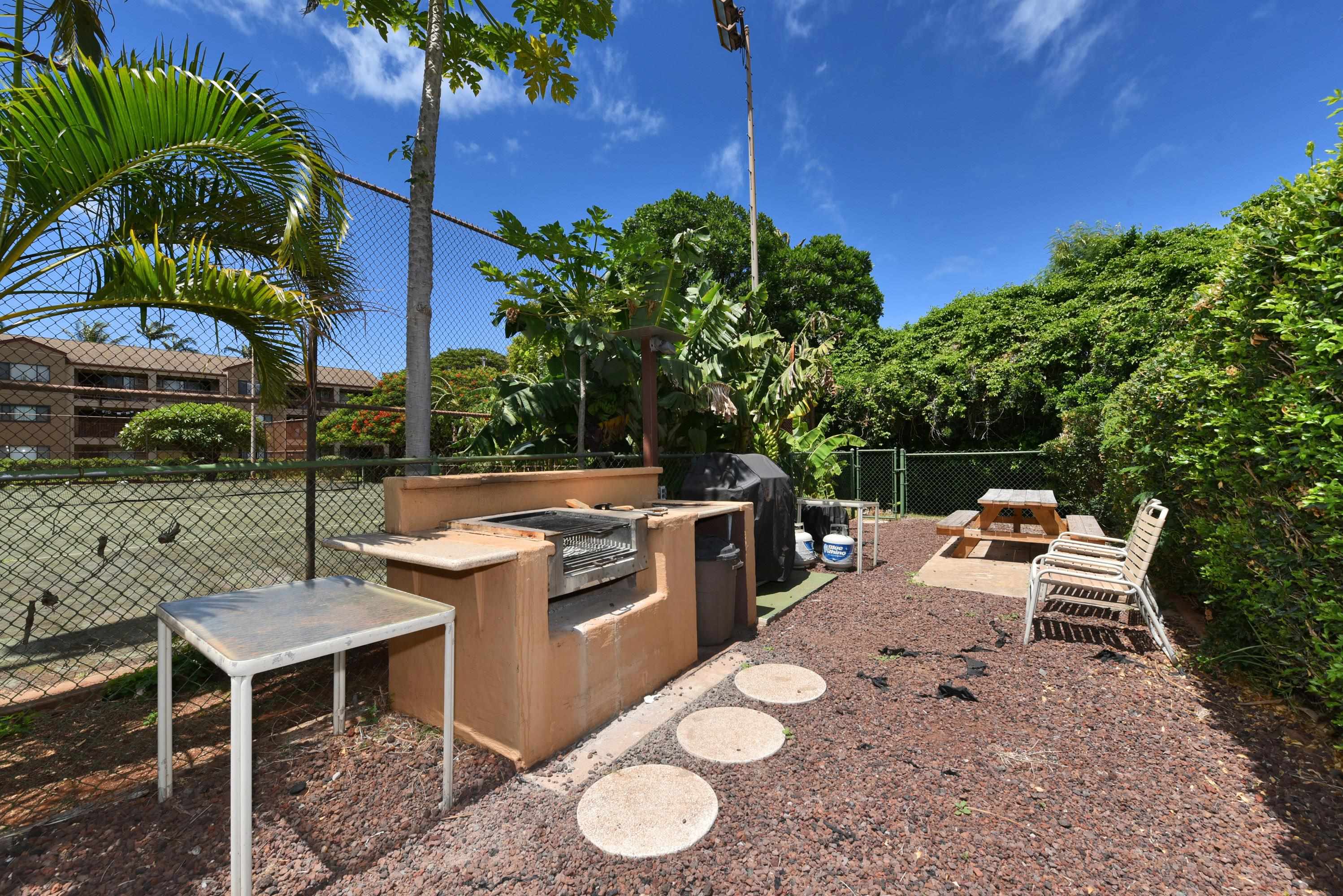 3660 Lower Honoapiilani Rd Property Photo 25