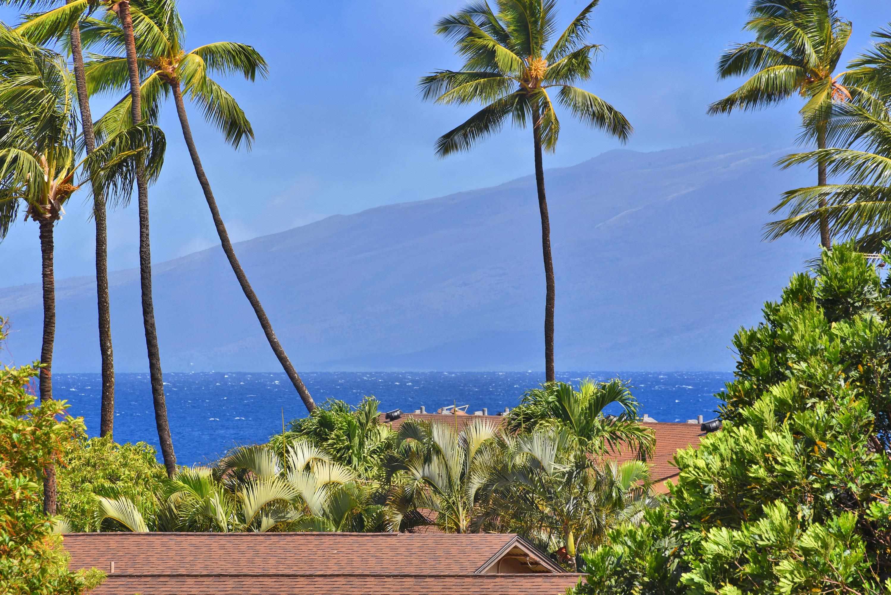 3660 Lower Honoapiilani Rd Property Photo 26