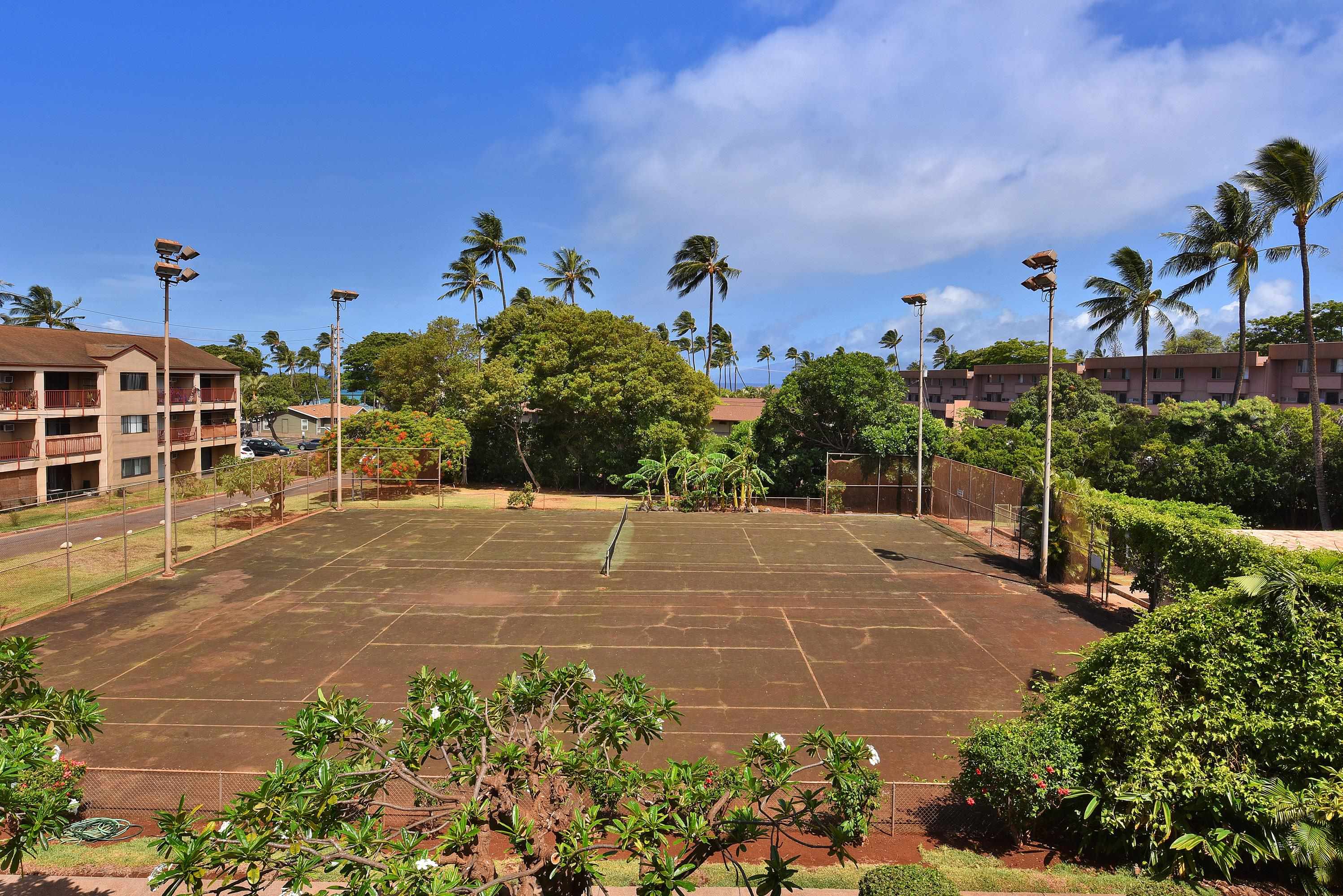3660 Lower Honoapiilani Rd Property Photo 27