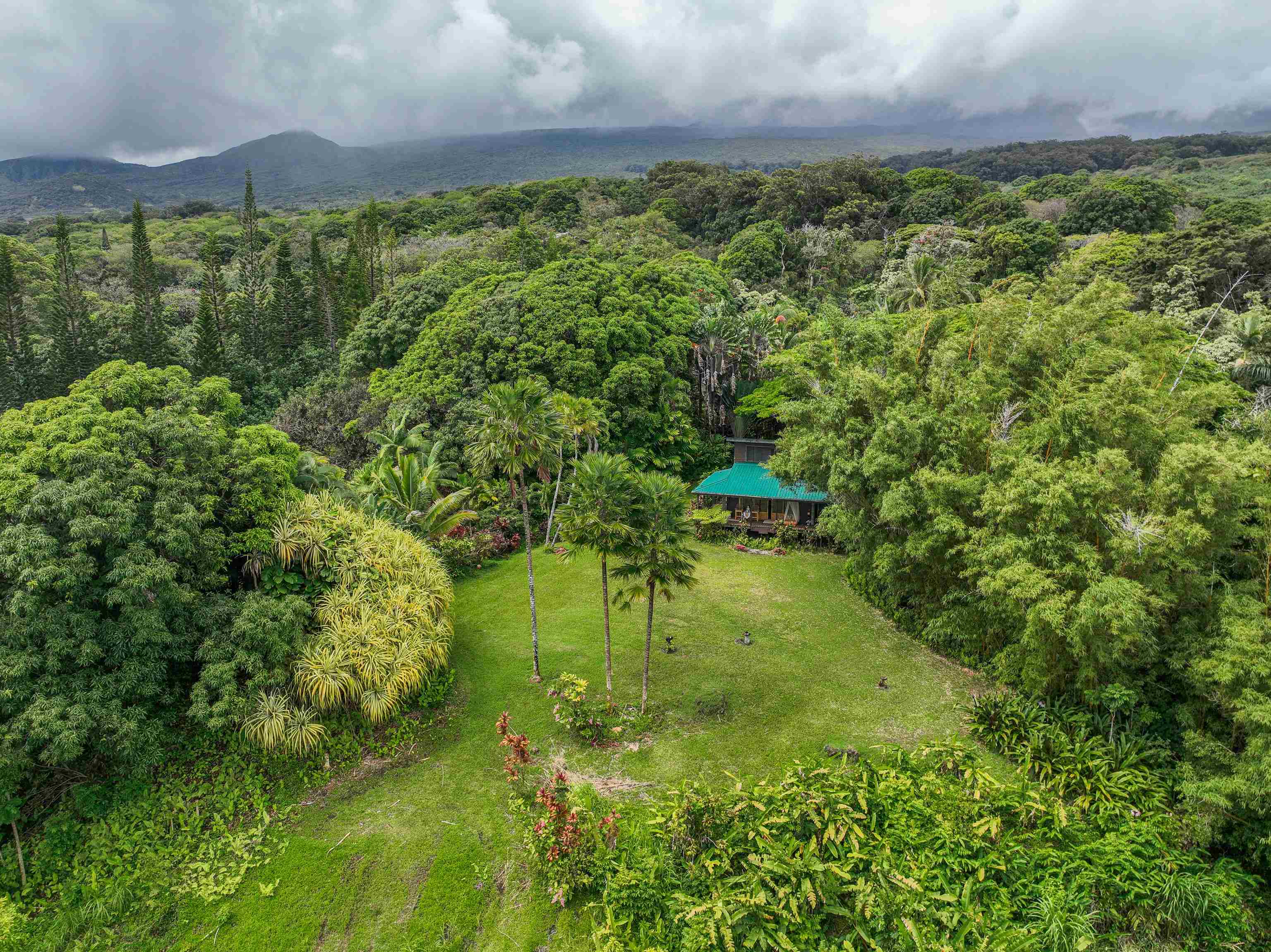 1600 Lower Nahiku Rd Property Photo 7