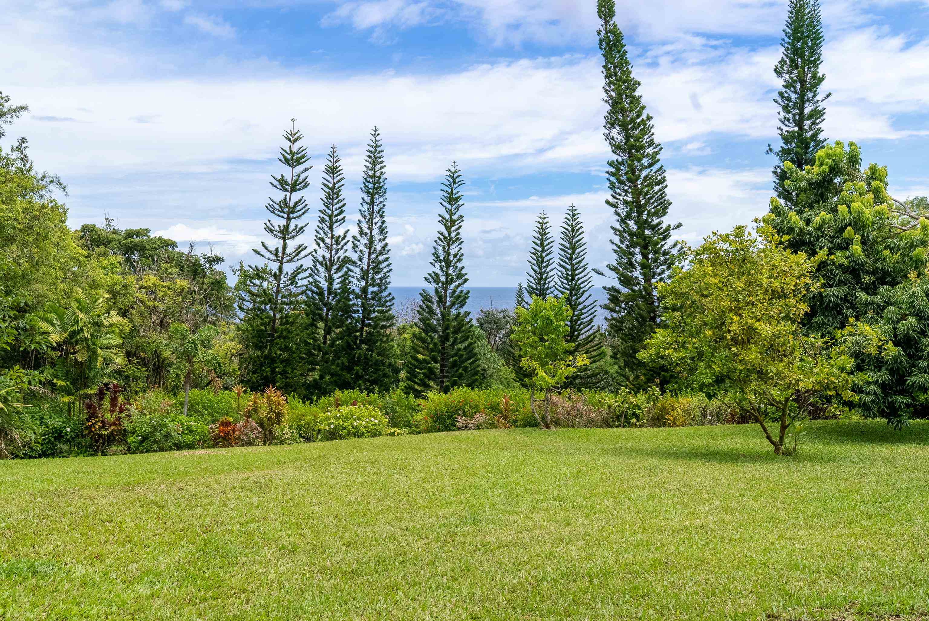 1600 Lower Nahiku Rd Property Photo 8