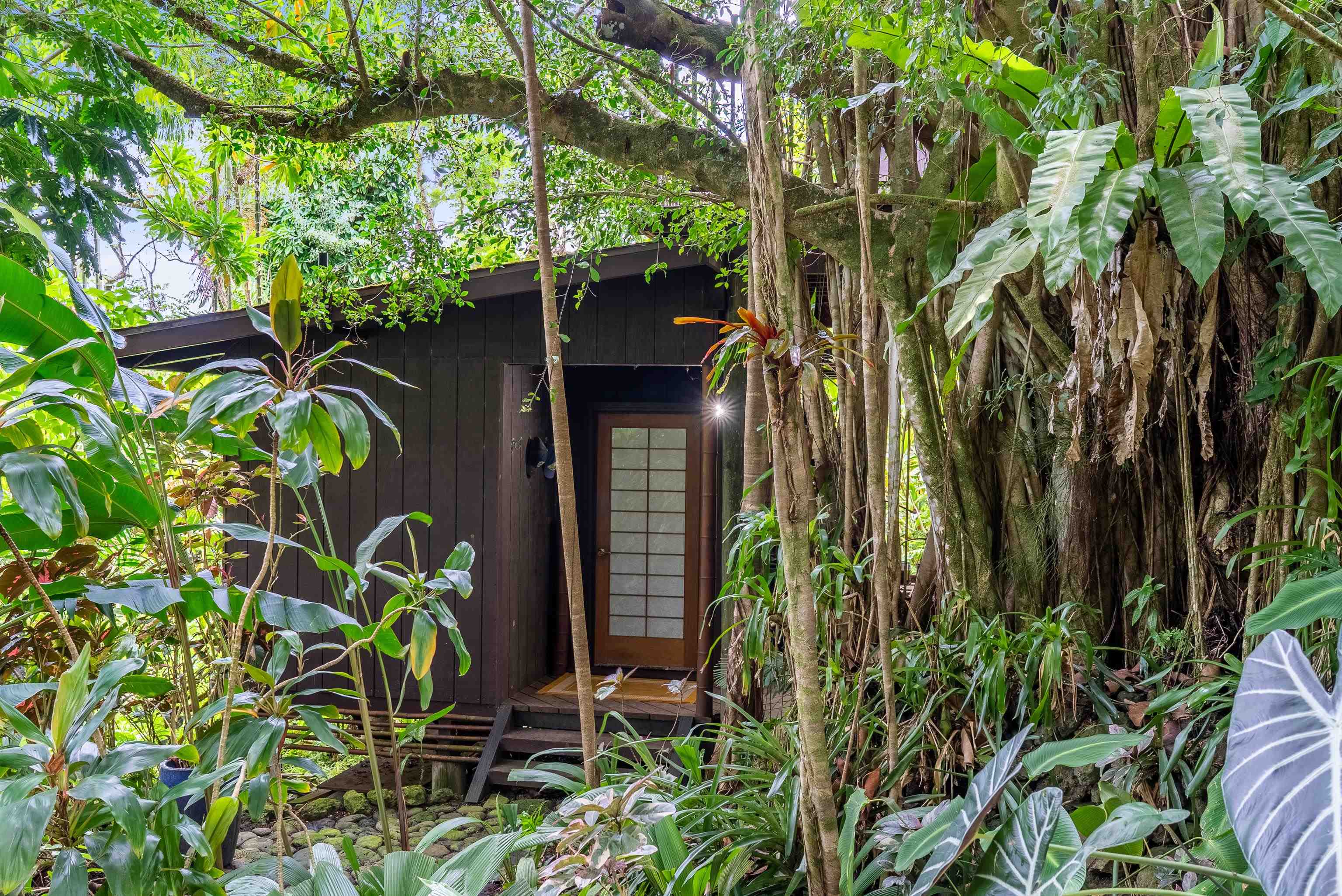 1600 Lower Nahiku Rd Property Photo 12