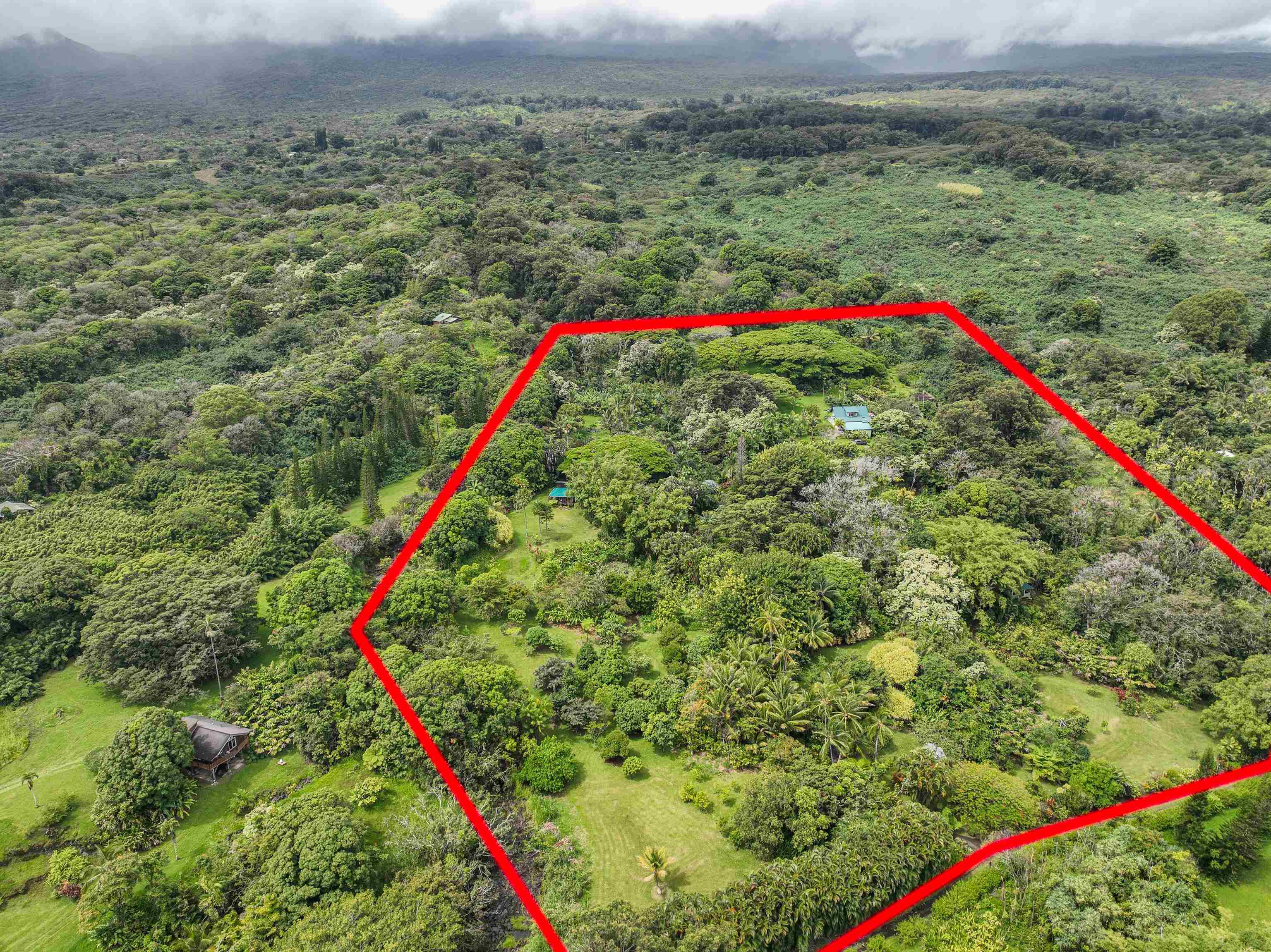 1600 Lower Nahiku Rd Property Photo 23