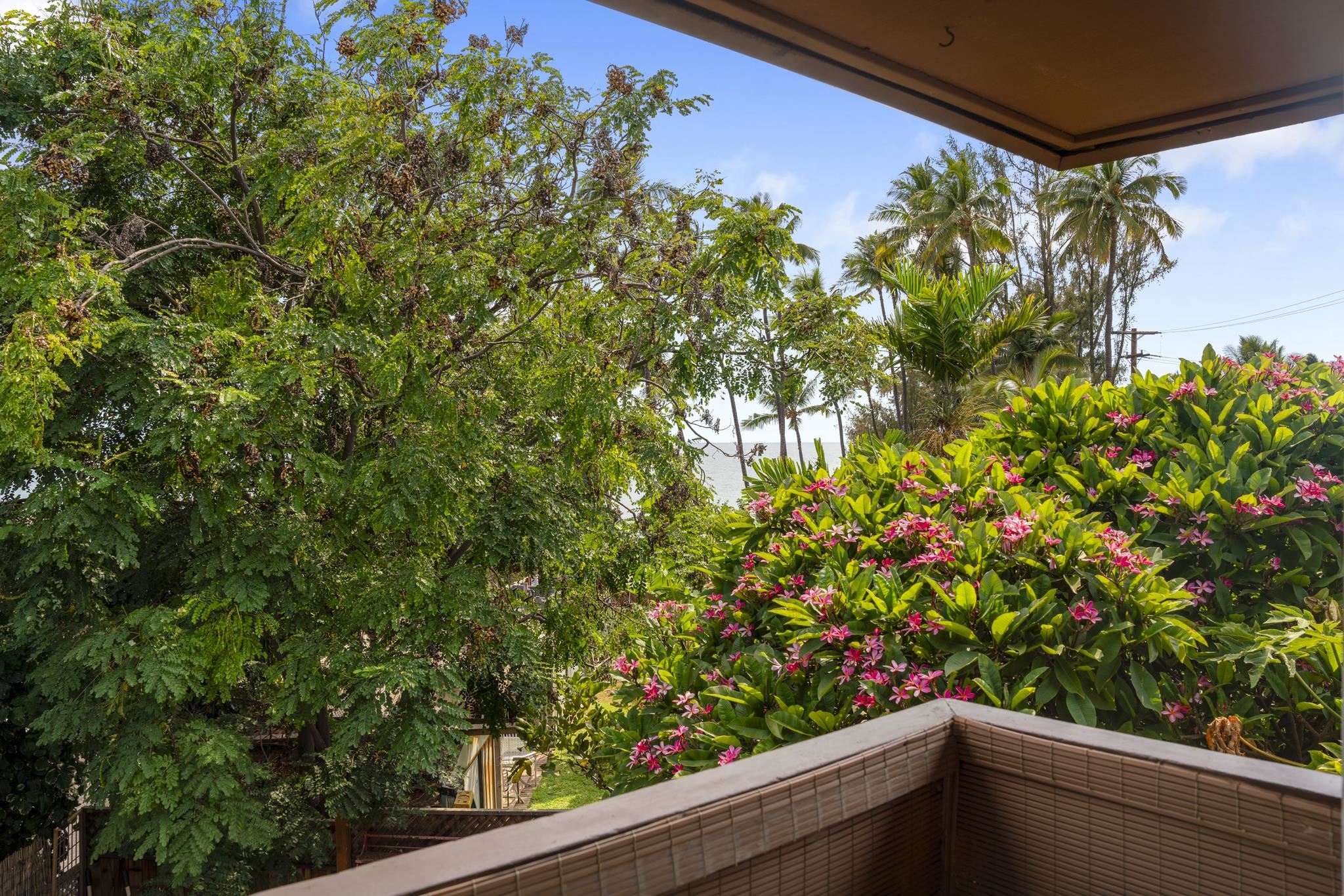 7 Kaiau Pl Property Photo 24