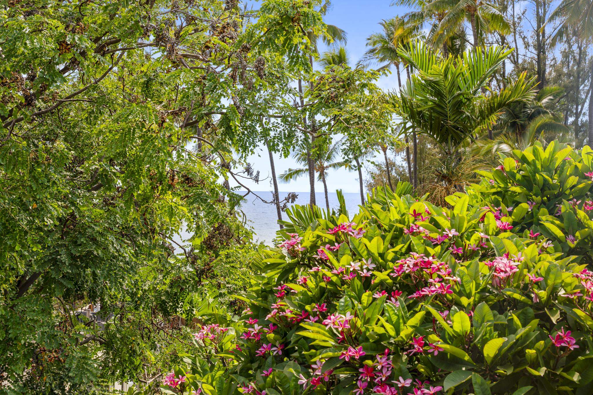 7 Kaiau Pl Property Photo 26