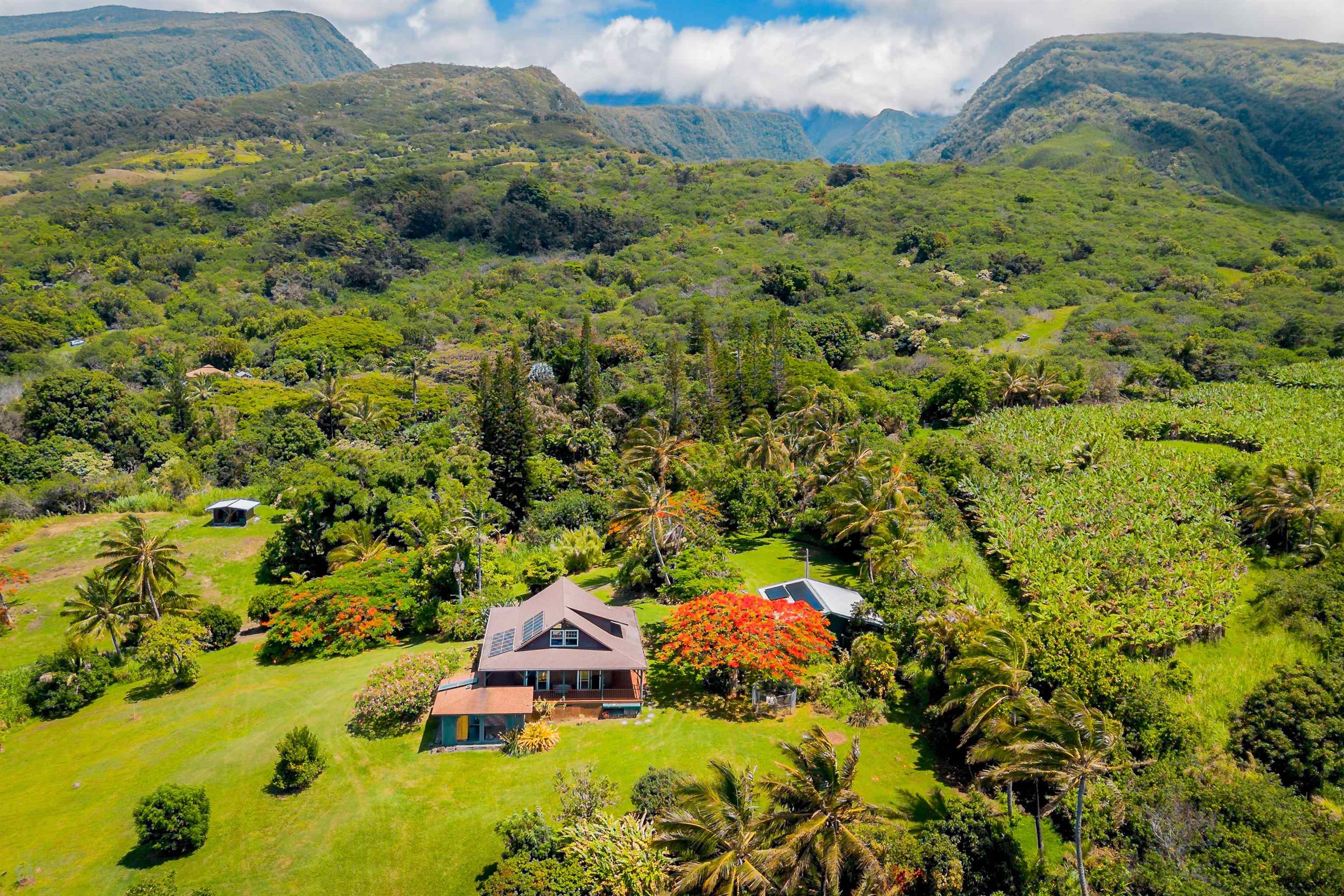 41049 Hana Hwy Property Photo 6