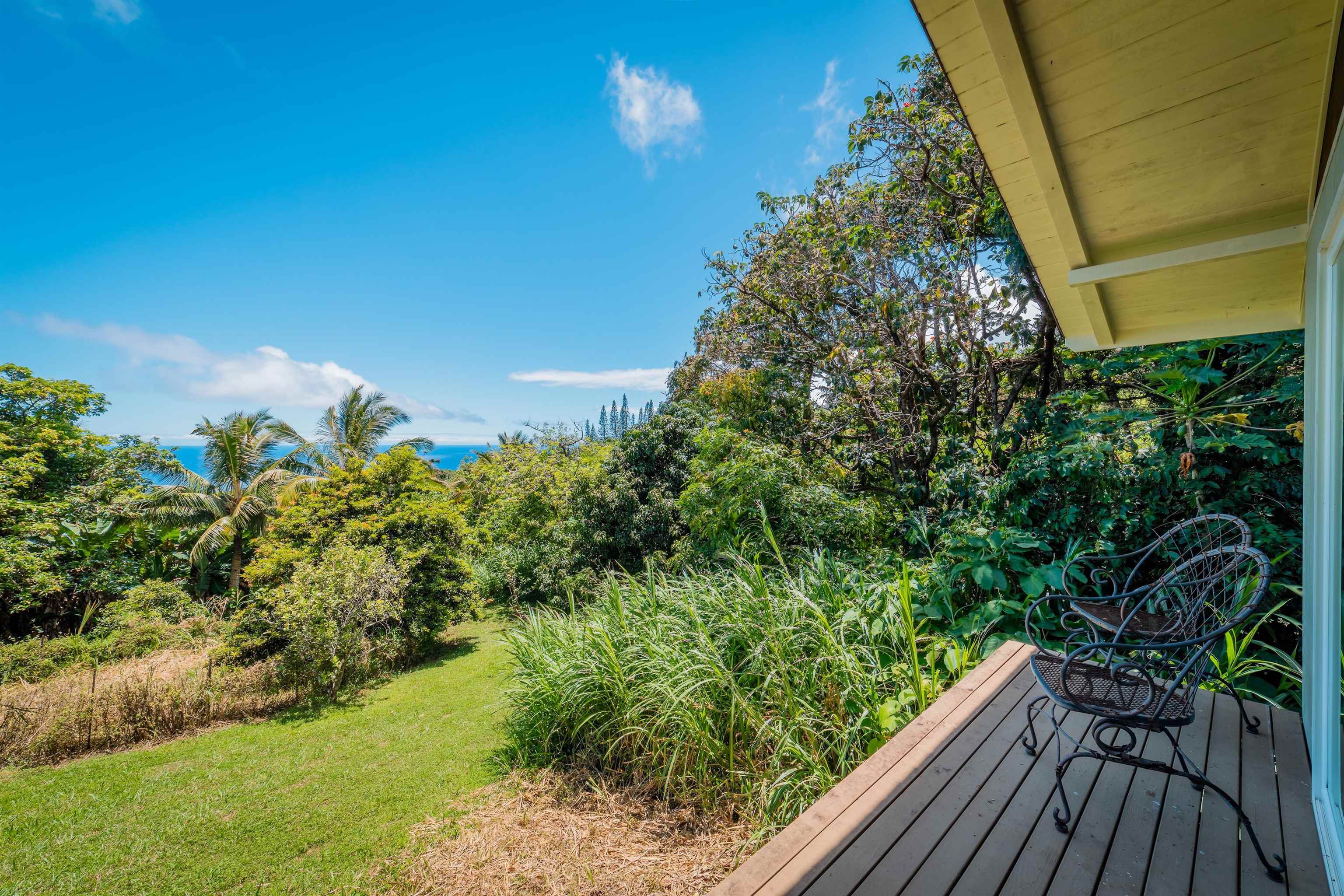41049 Hana Hwy Property Photo 33