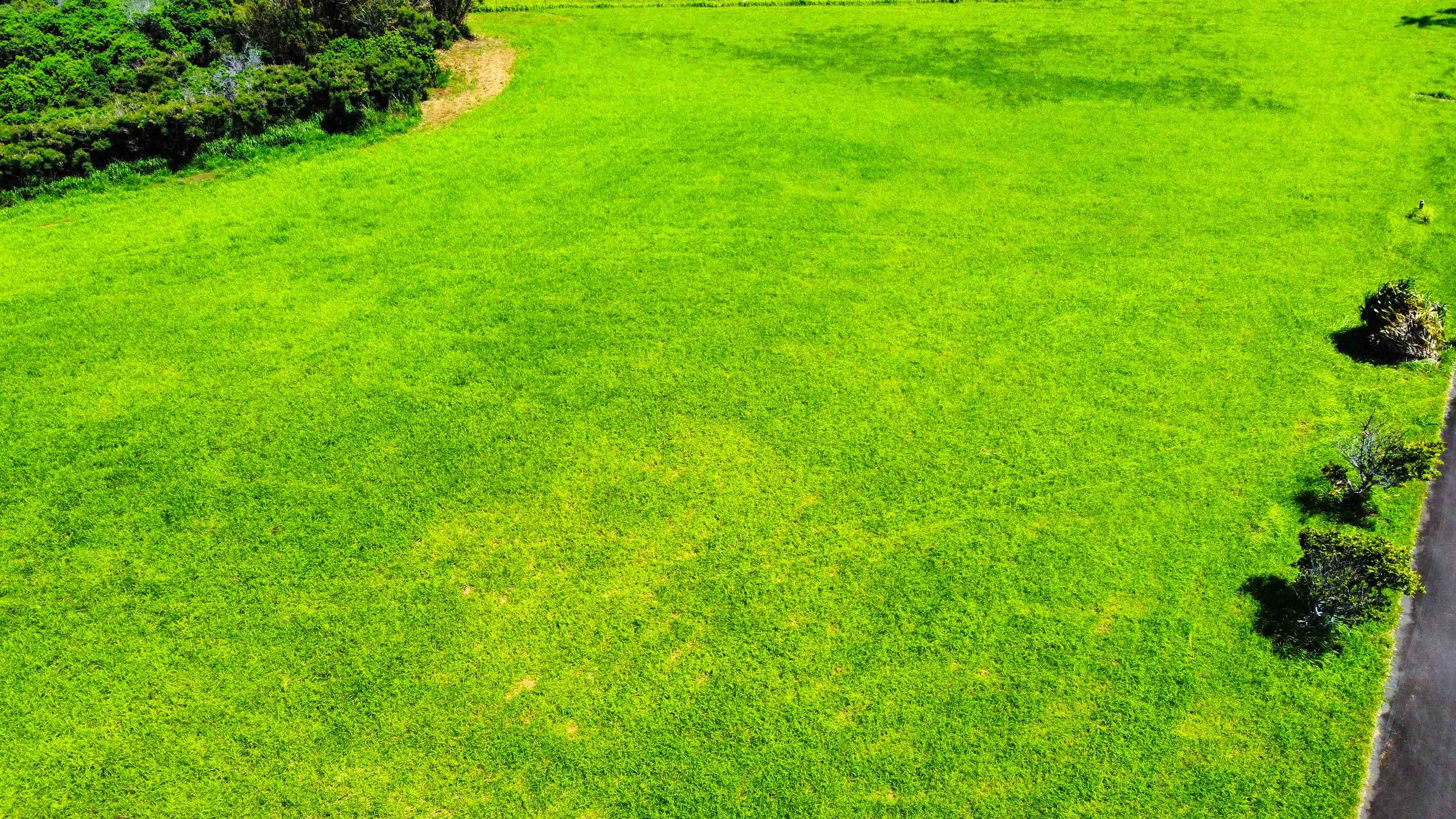 610 Kai Huki Cir Property Photo 5