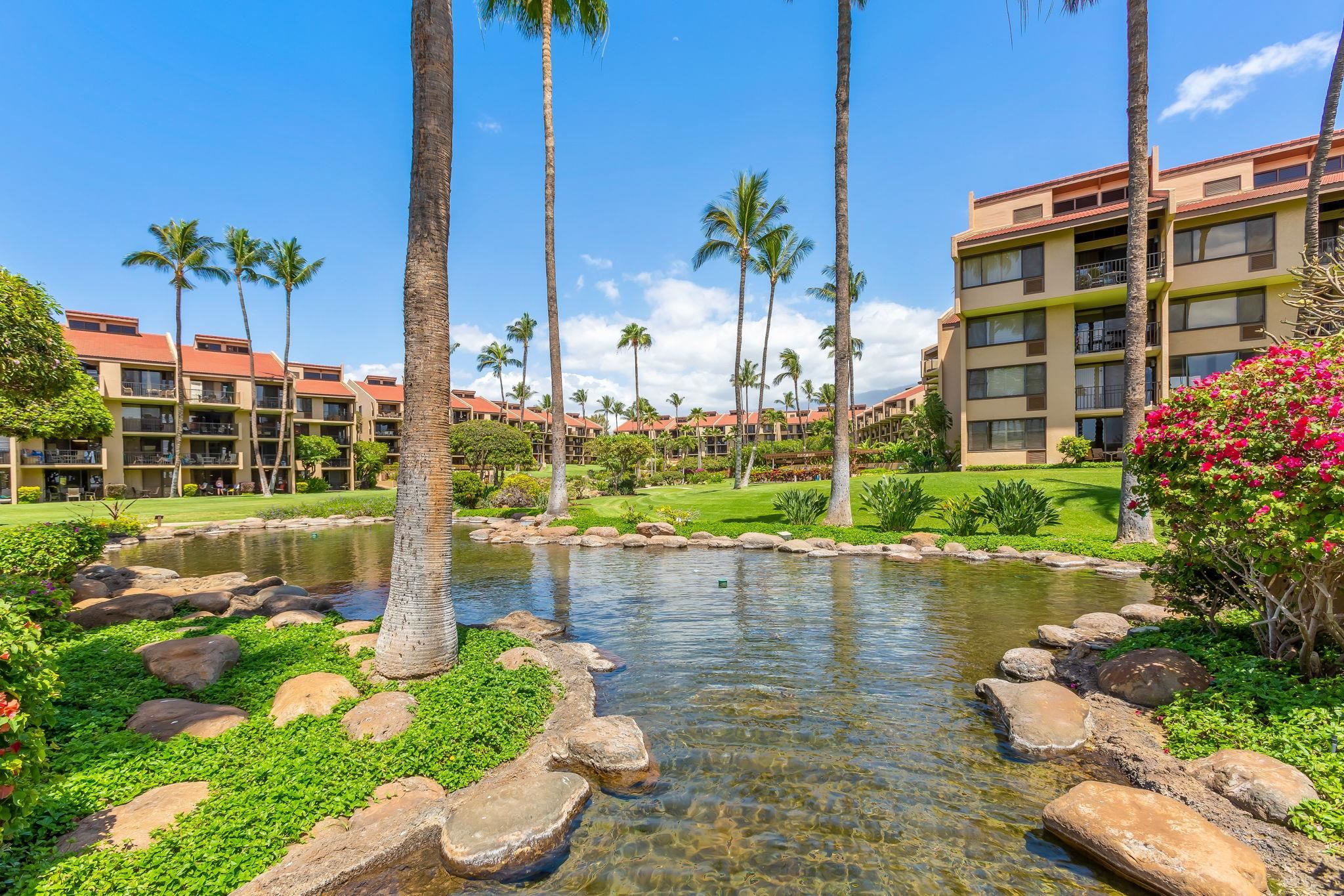 2695 S Kihei Rd Property Photo 4
