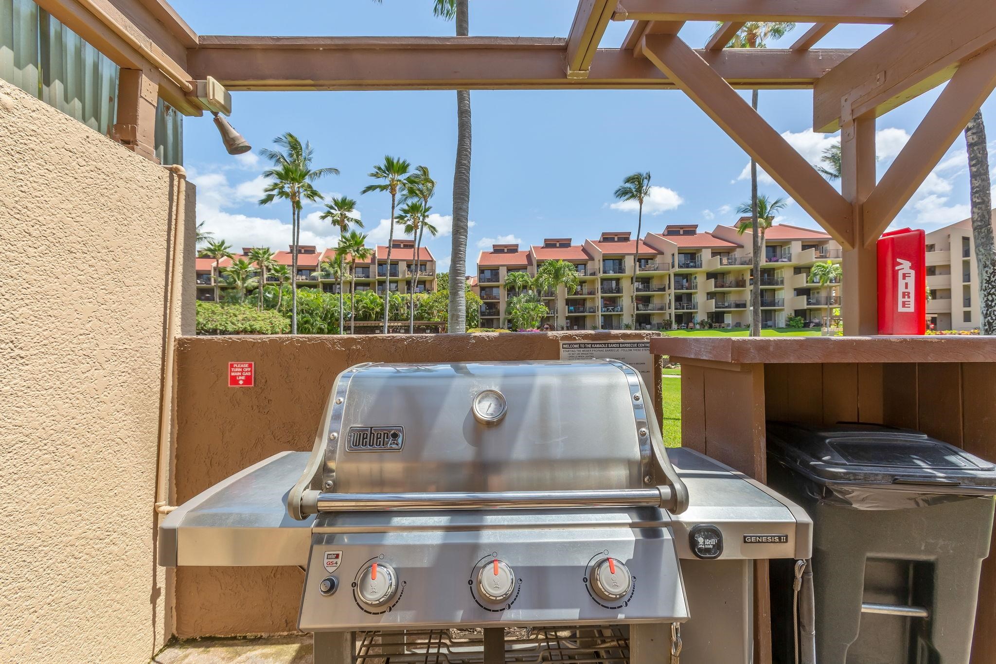 2695 S Kihei Rd Property Photo 30
