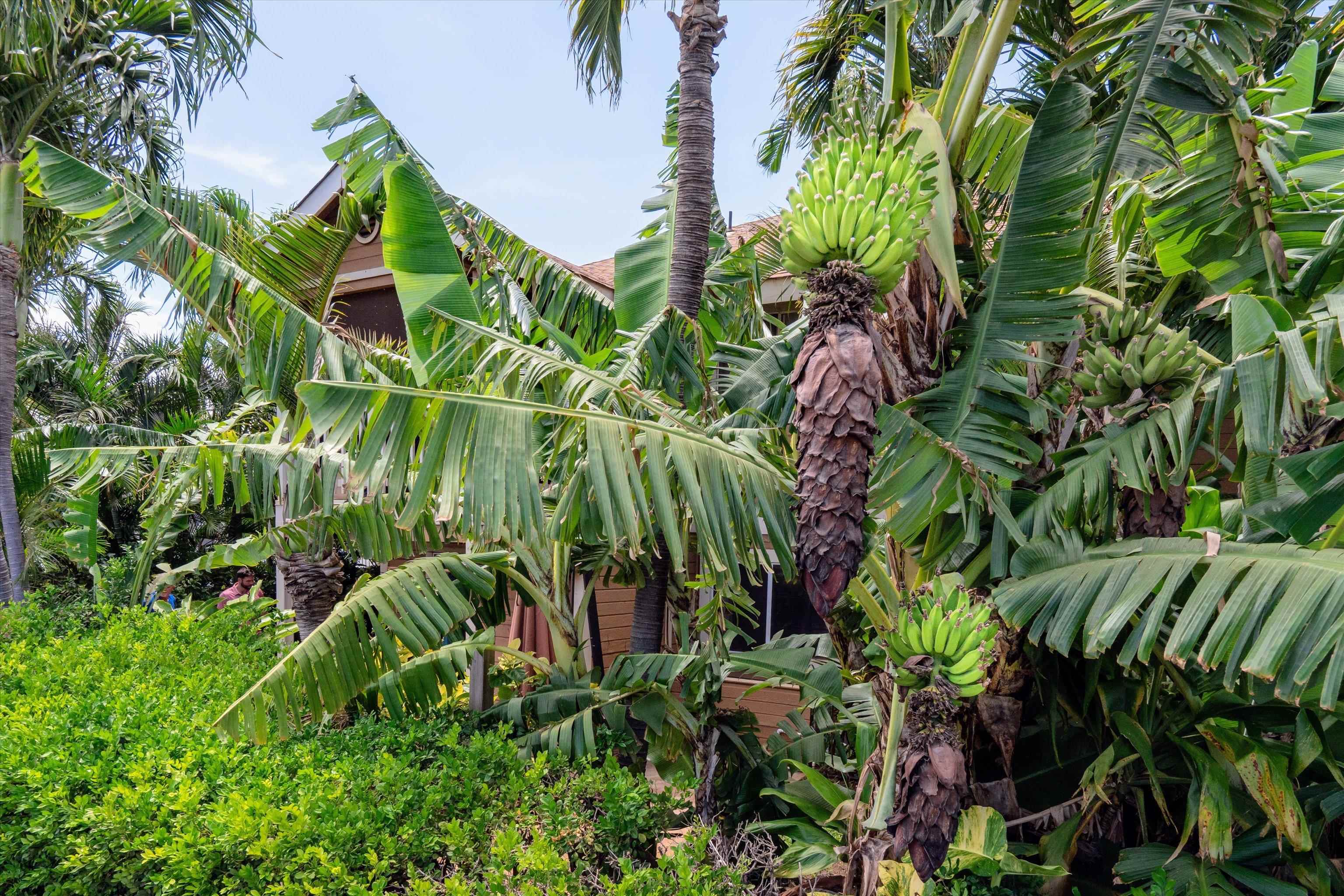 140 Uwapo Rd Property Photo 27