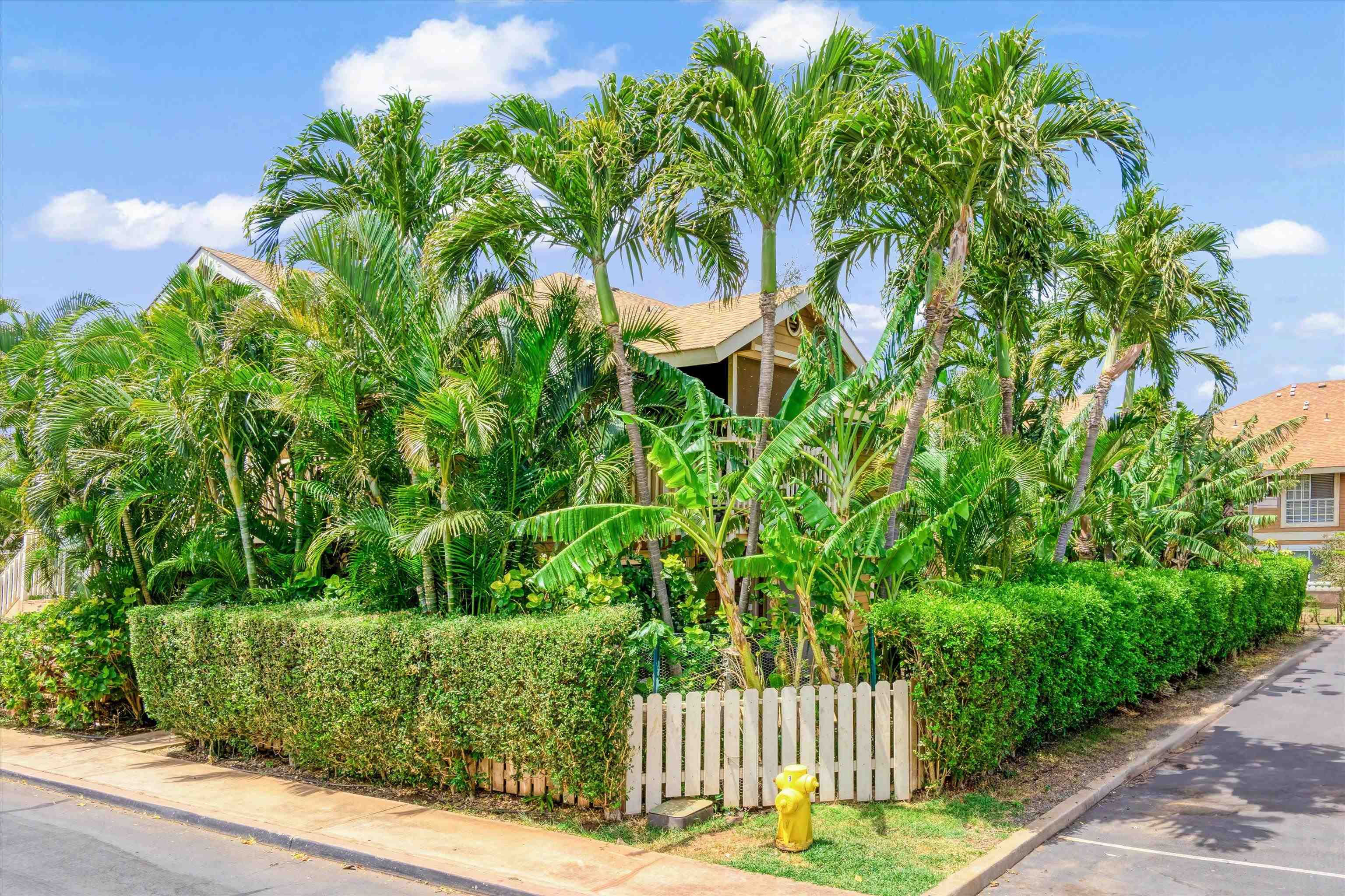 140 Uwapo Rd Property Photo 31