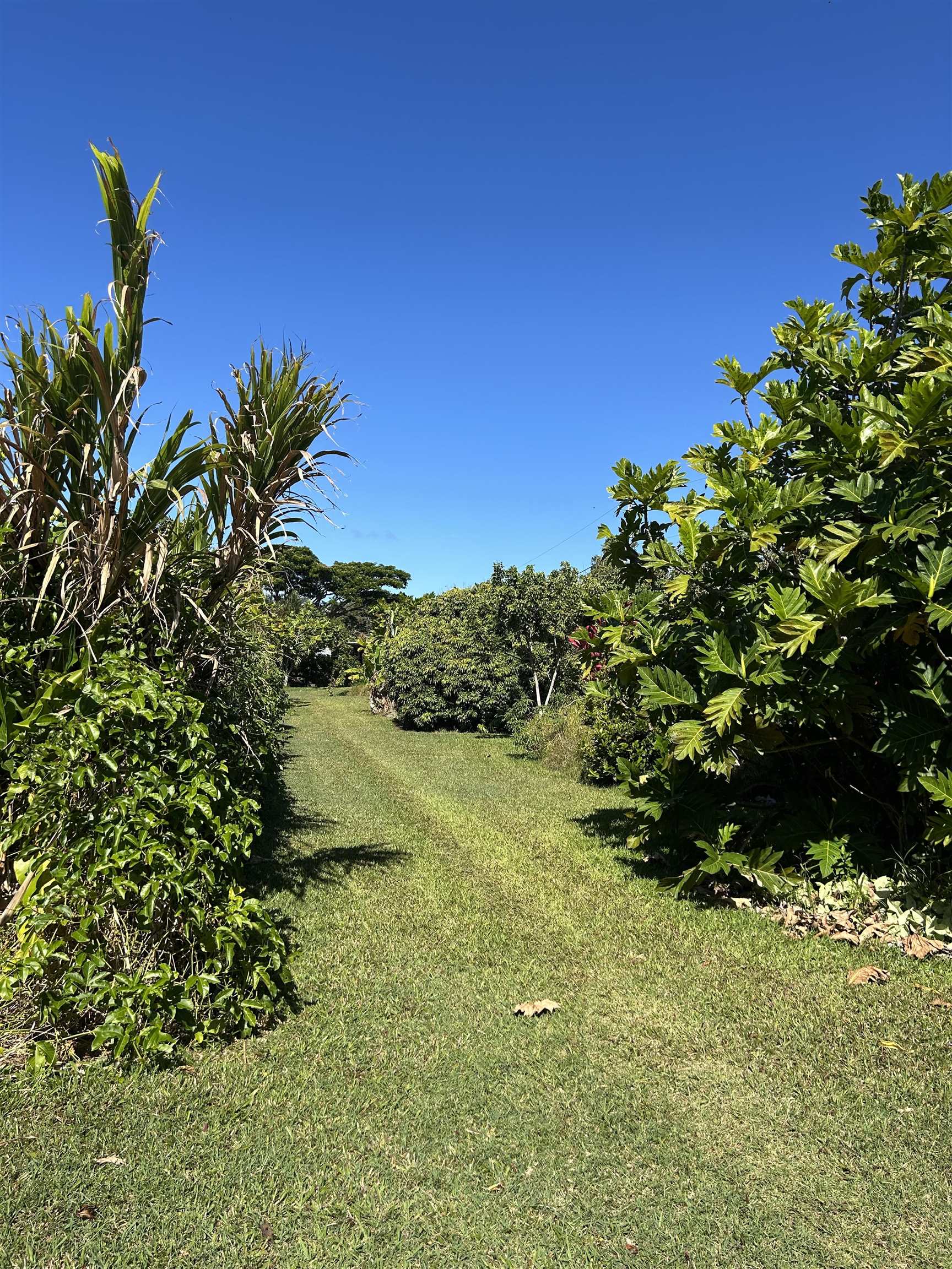 1220 W Kuiaha Rd Property Photo 39