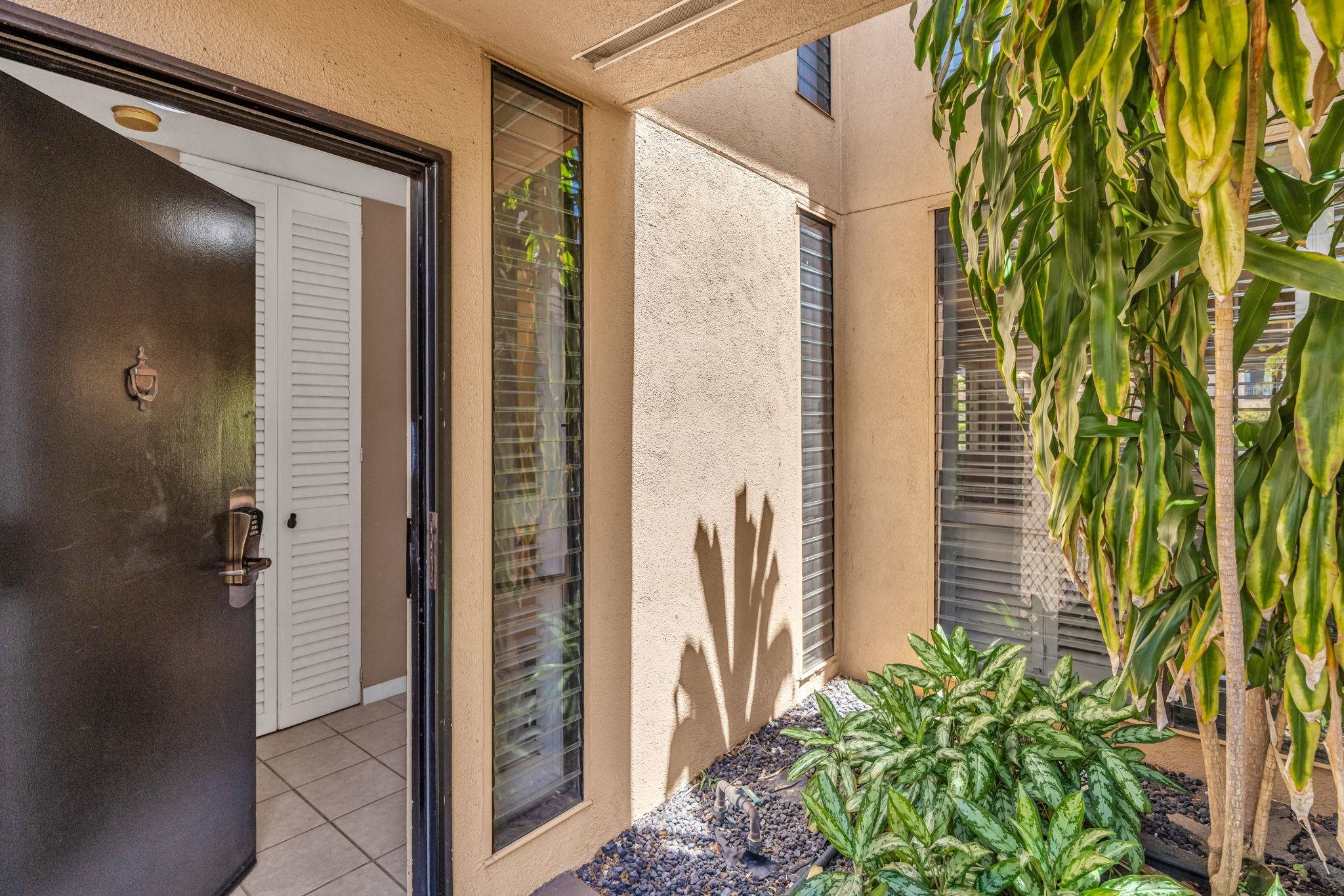 3300 Wailea Alanui Dr Property Photo 4