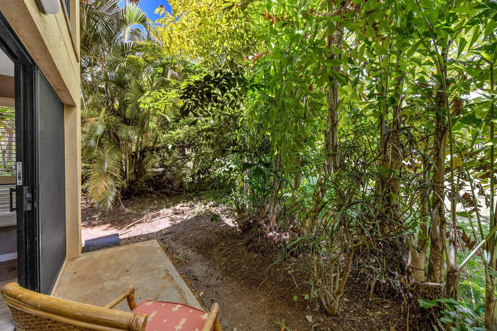 3300 Wailea Alanui Dr Property Photo 30