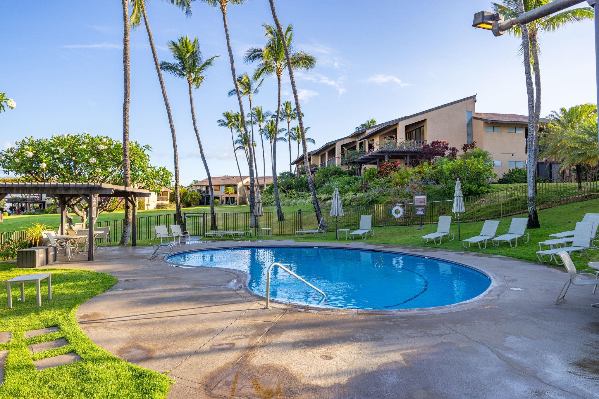3300 Wailea Alanui Dr Property Photo 39
