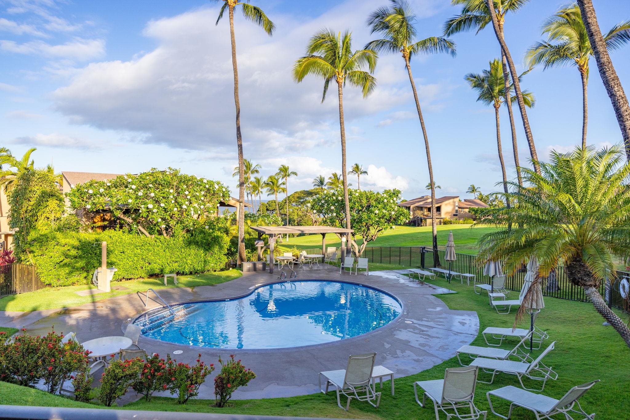 3300 Wailea Alanui Dr Property Photo 40