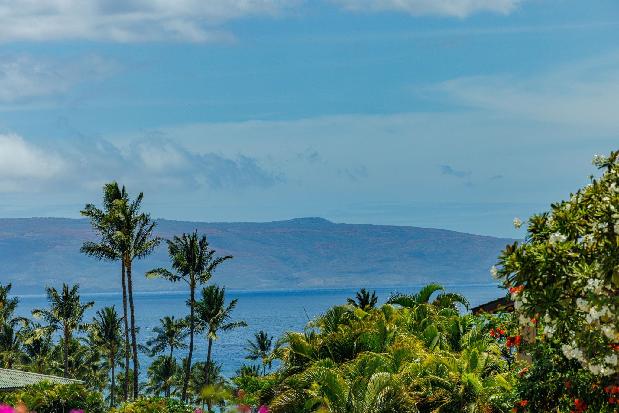 3300 Wailea Alanui Dr Property Photo 41