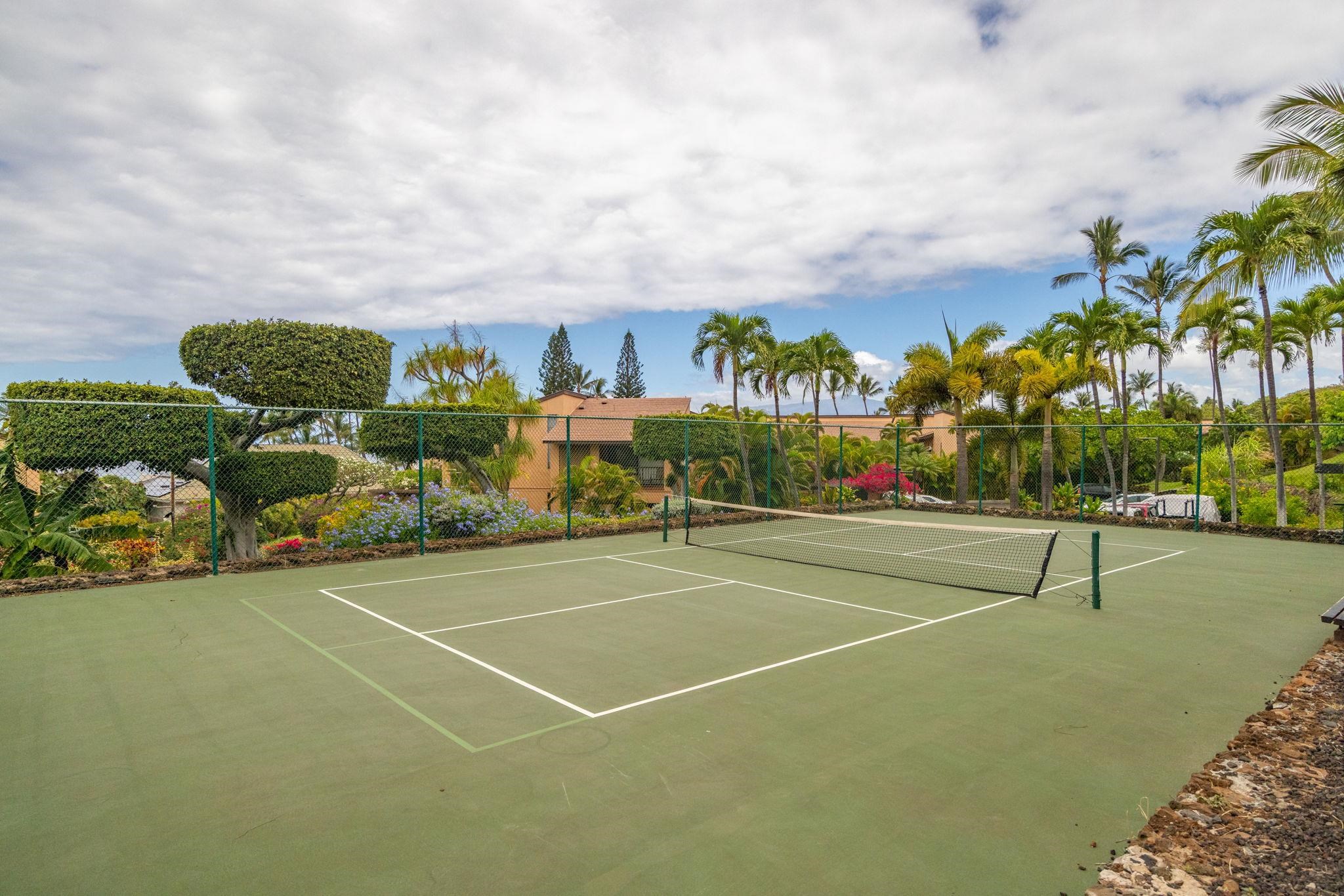3300 Wailea Alanui Dr Property Photo 42