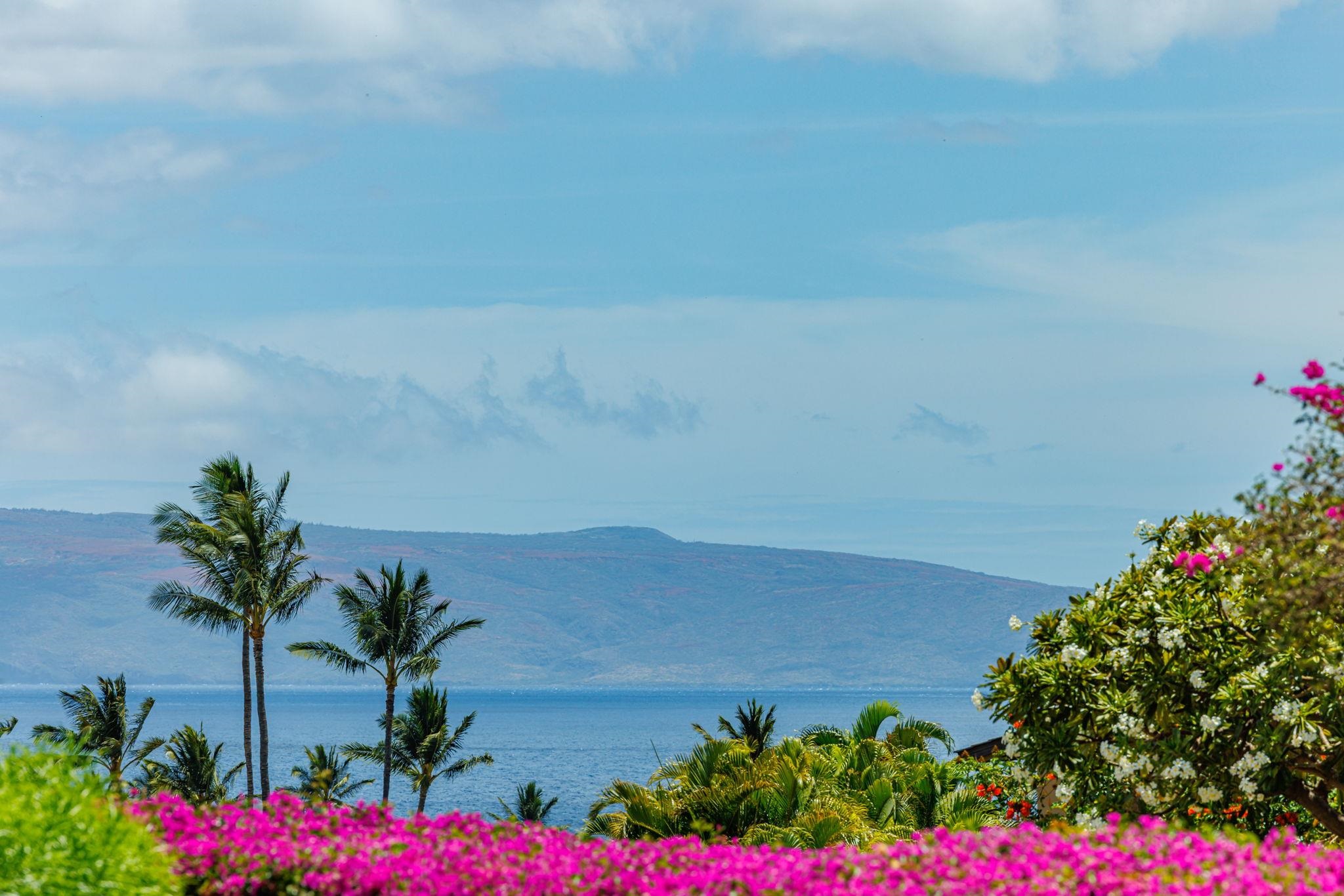 3300 Wailea Alanui Dr Property Photo 43