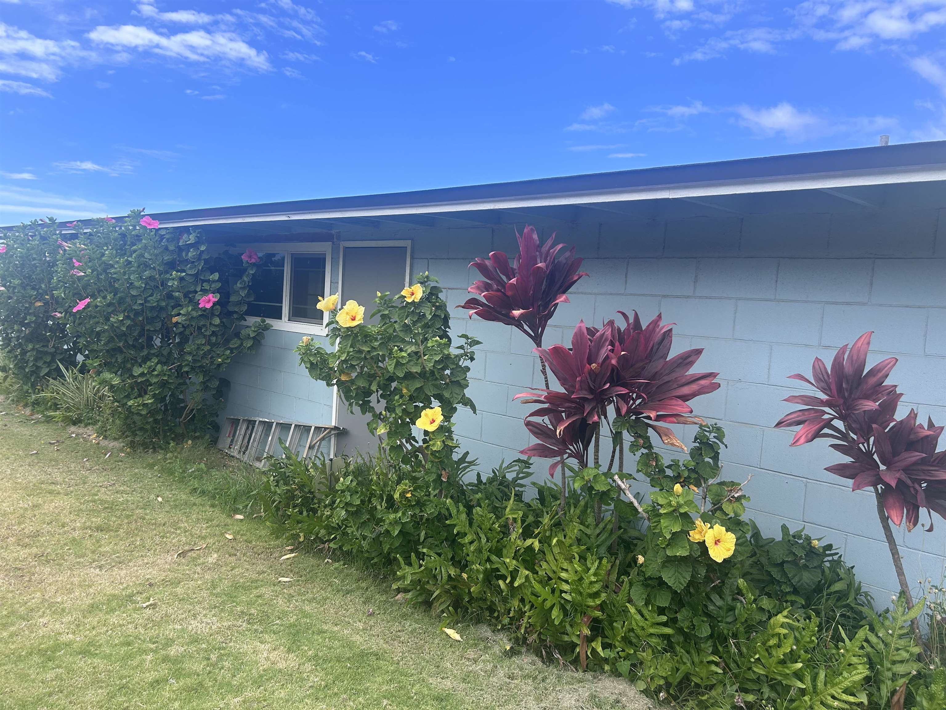 129 Niihau St Property Photo 2