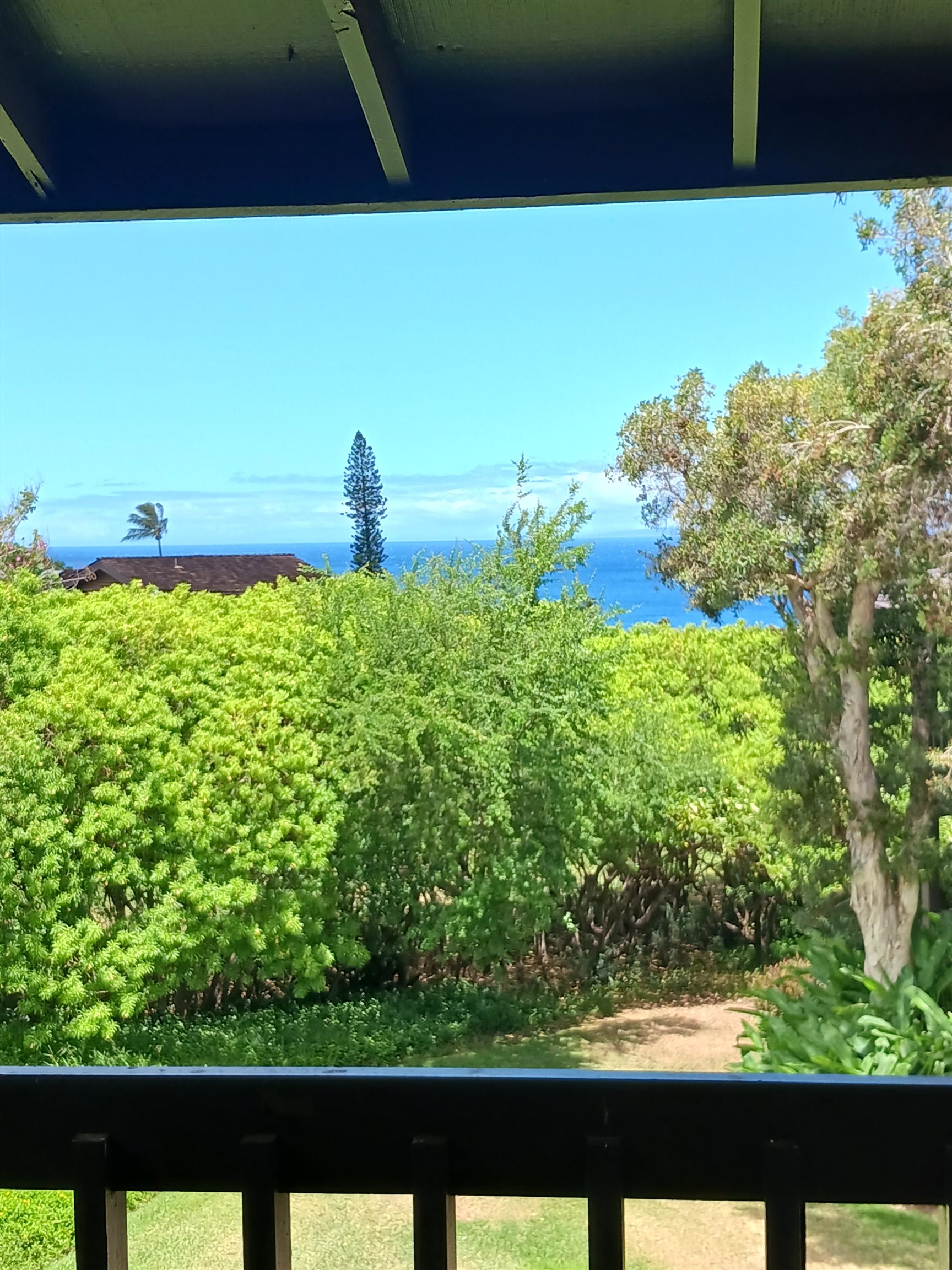 150 Puukolii Rd Property Photo 14