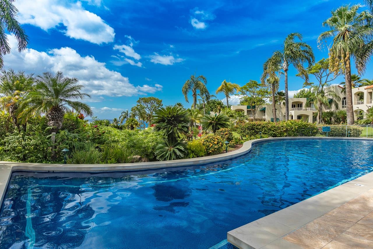 3200 Wailea Alanui Dr Property Photo 34