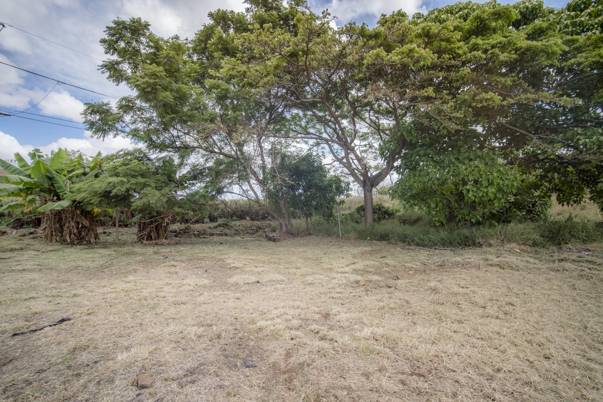 1298 Naalae Rd Property Photo 6