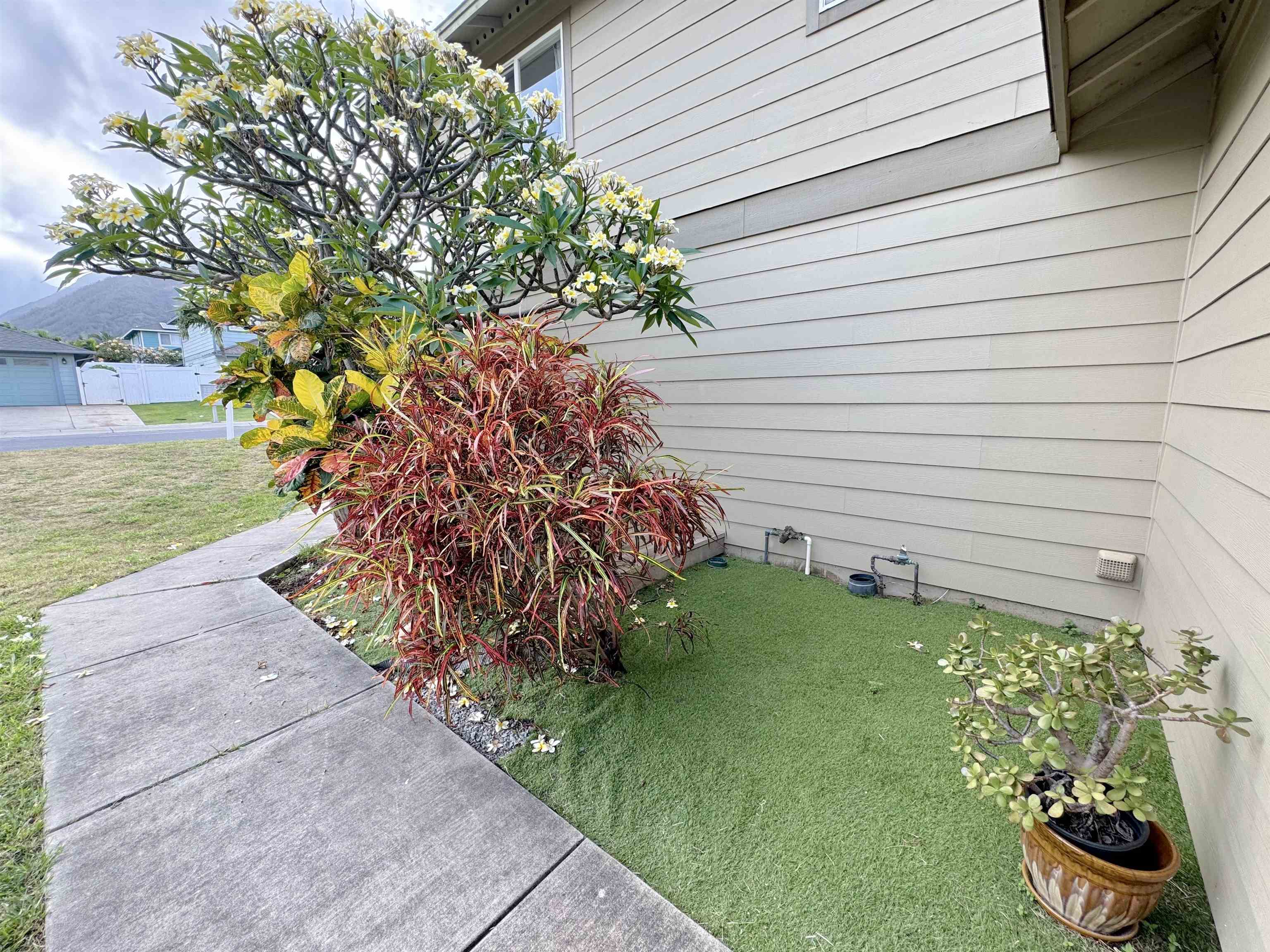 159 Iniiniki St Property Photo 20
