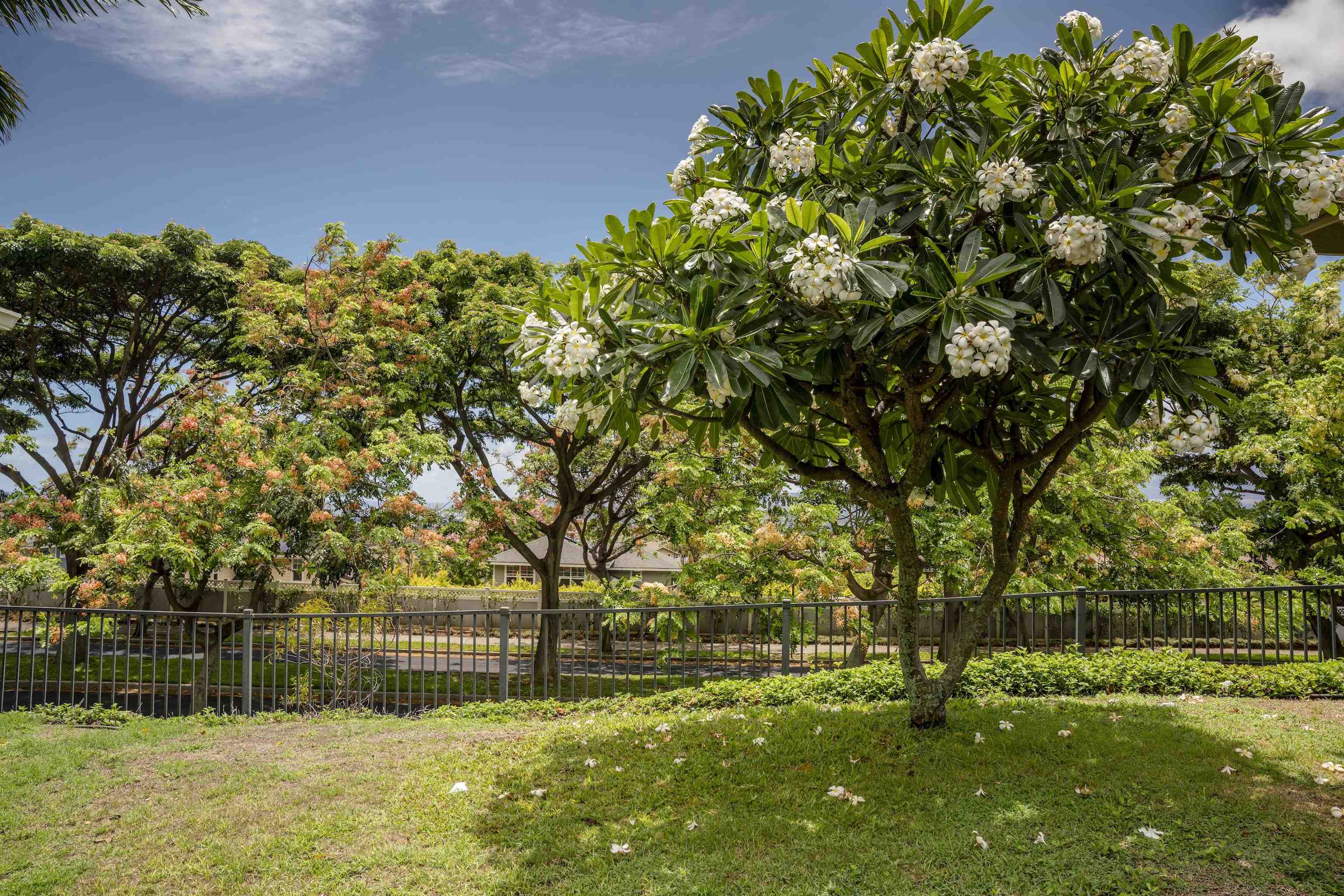 119 Hoowaiwai Loop Property Photo 22