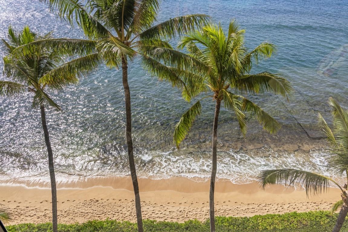 110 Kaanapali Shores Pl Property Photo 31