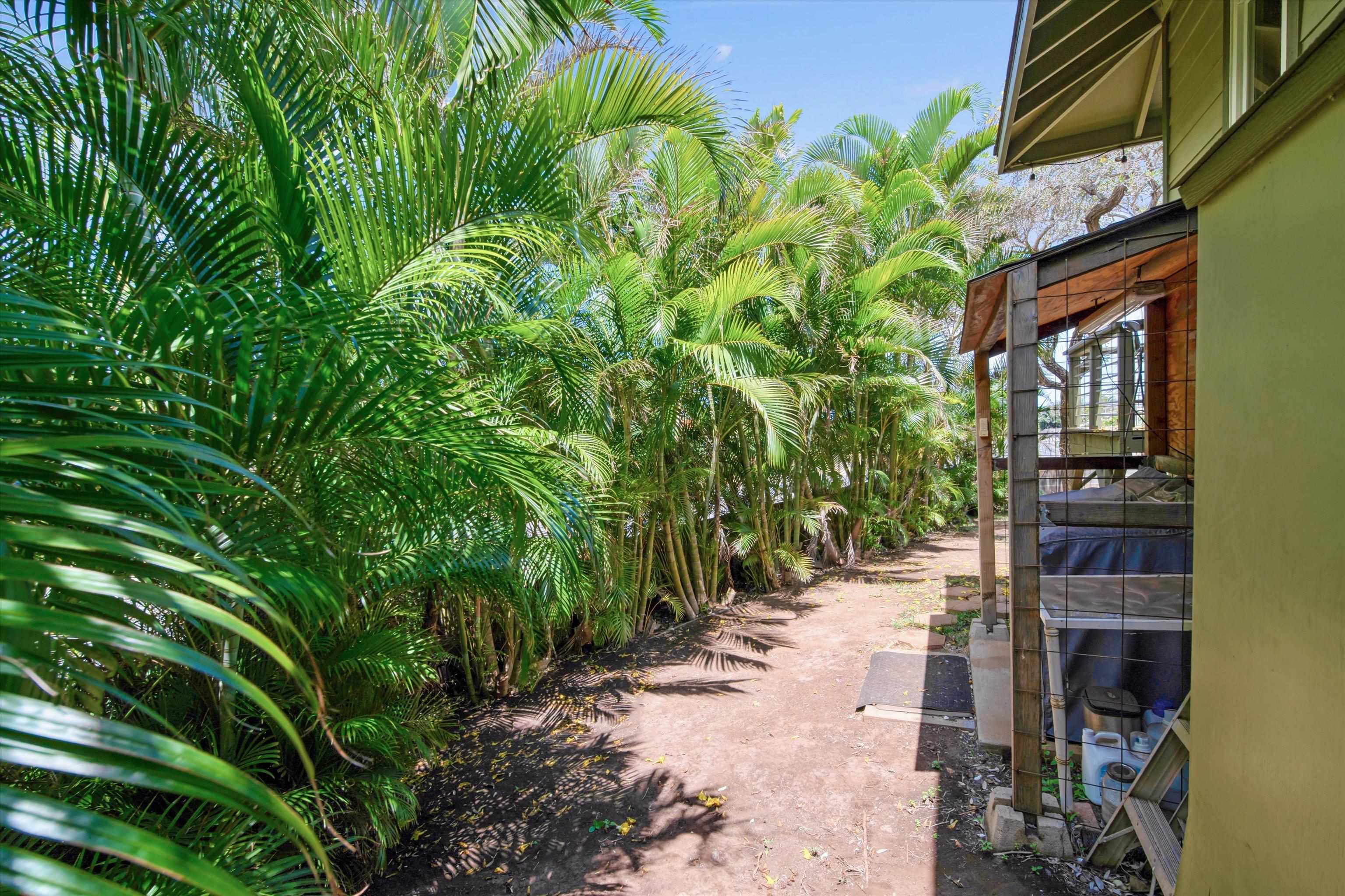 163 Auhana Rd Property Photo 46