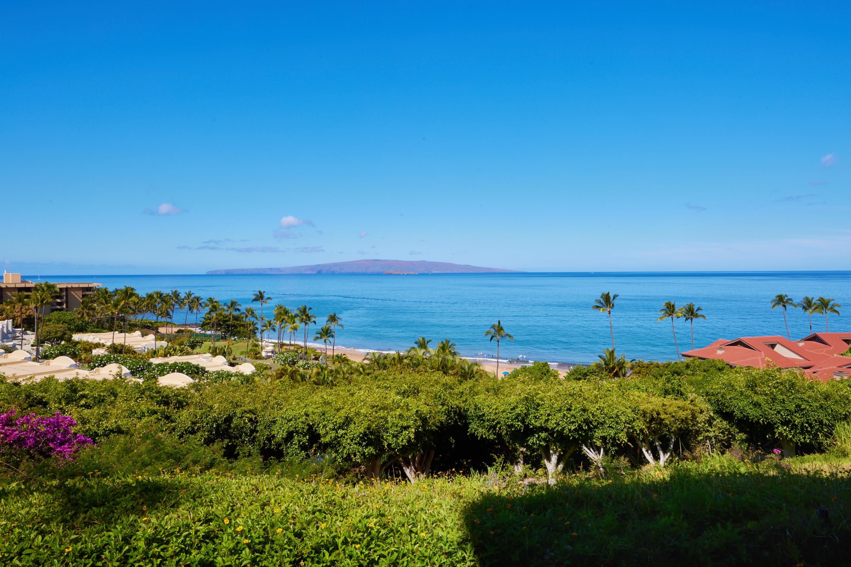 4000 Wailea Alanui Dr Property Photo 7