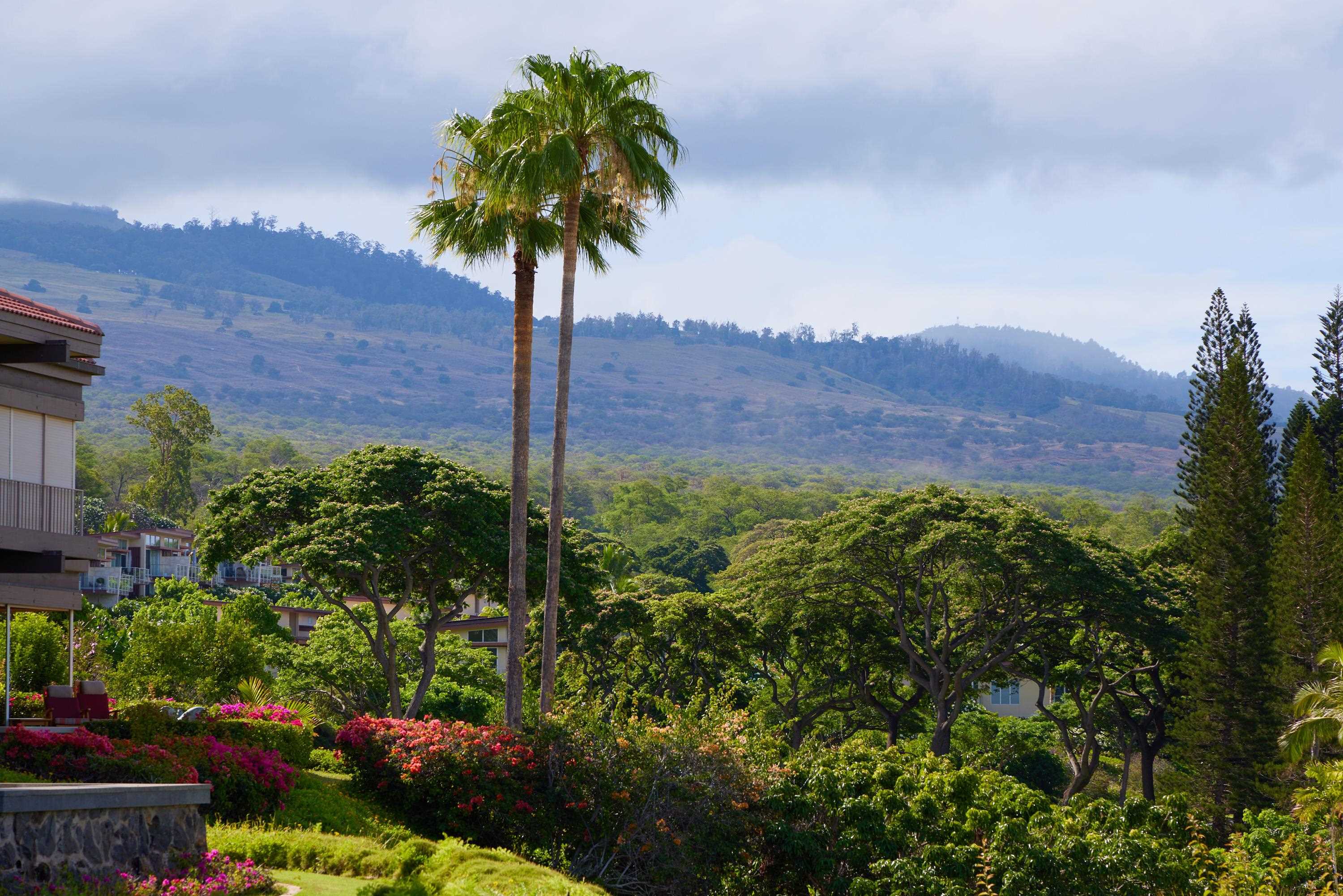 4000 Wailea Alanui Dr Property Photo 38