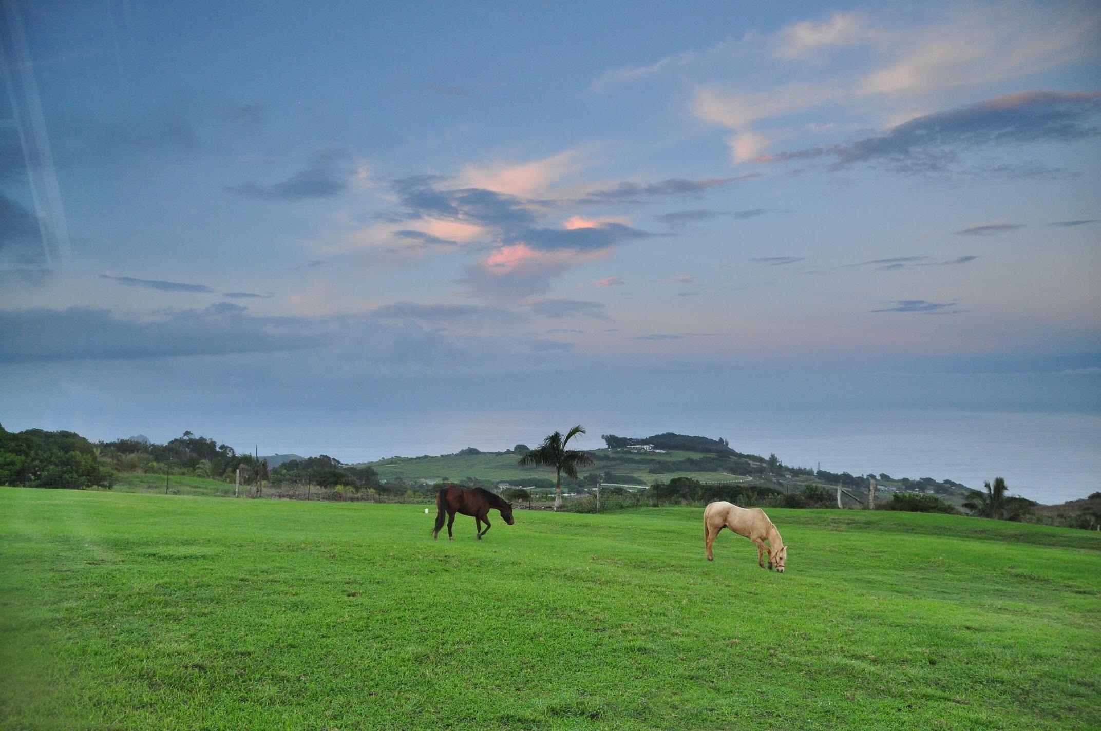 21 Hulumanu Pl Property Photo 2