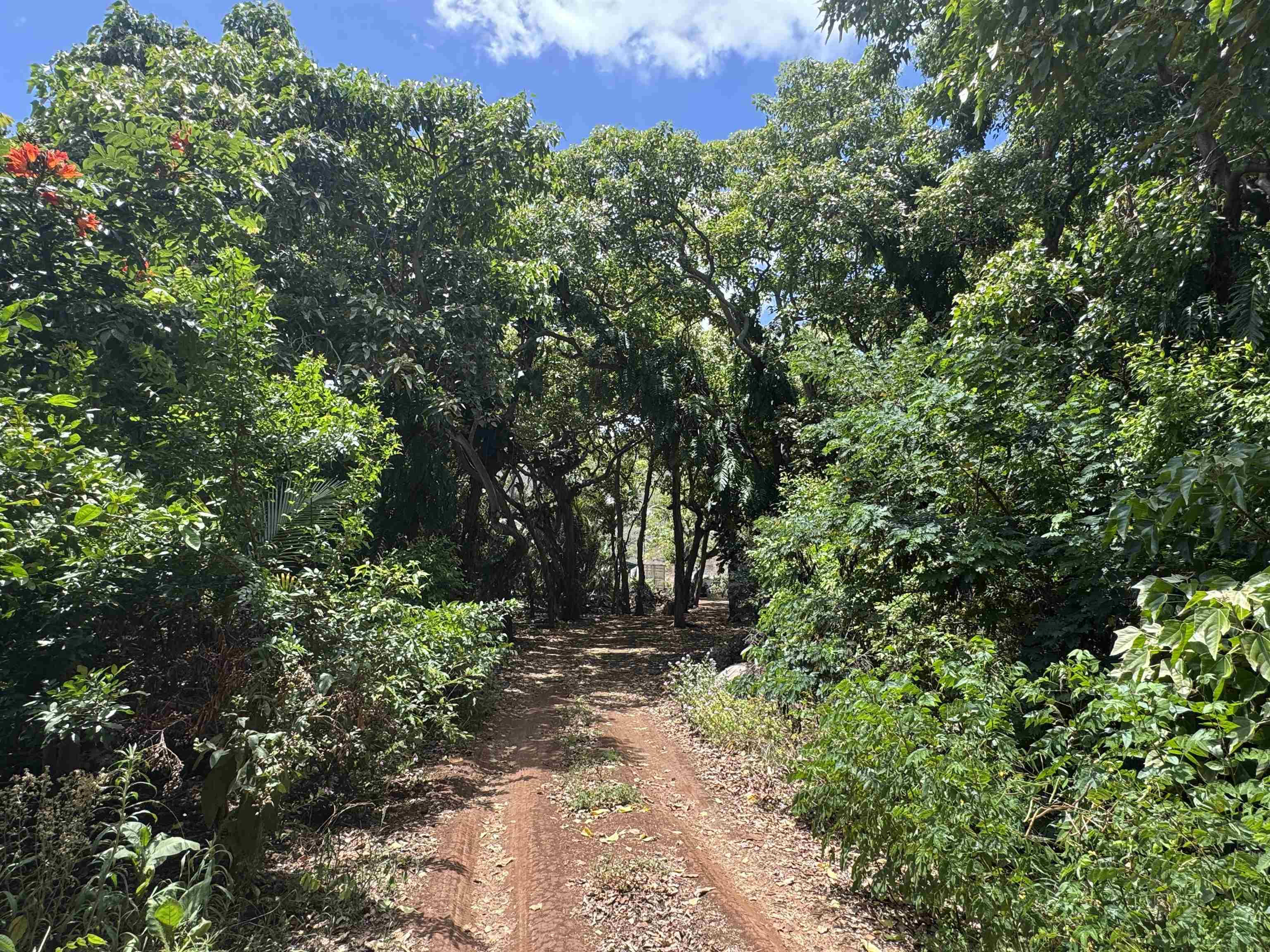 0 Wailau Valley Rd Property Photo 4