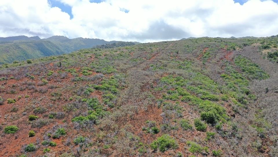 0 Wailau Valley Rd Property Photo 11