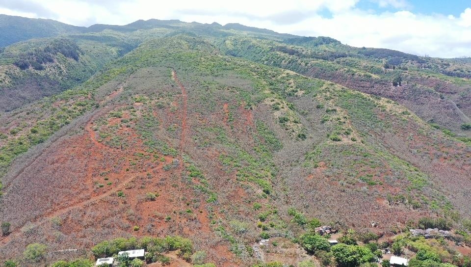0 Wailau Valley Rd Property Photo 12