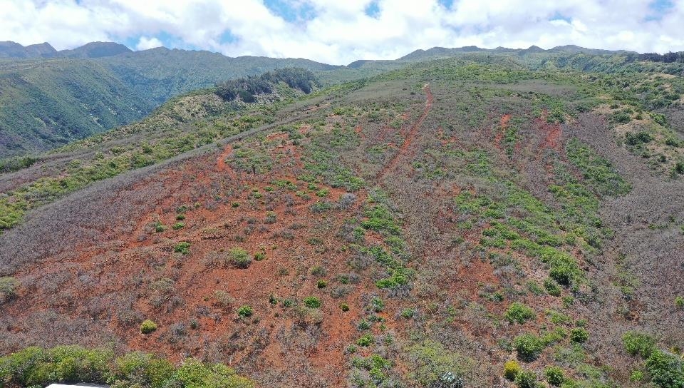 0 Wailau Valley Rd Property Photo 14