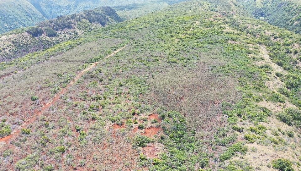0 Wailau Valley Rd Property Photo 16